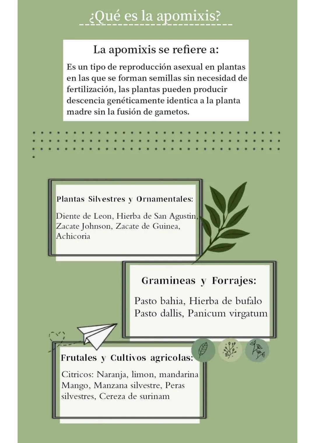 FRAGMENTACION
Y
APOMIXIS
Presentado por:
- Silvana Suarez
- Josmary Linares
- Luisa Arroyave
- Victoria Colonna
- Sofia Martinez
8-1 # FRA