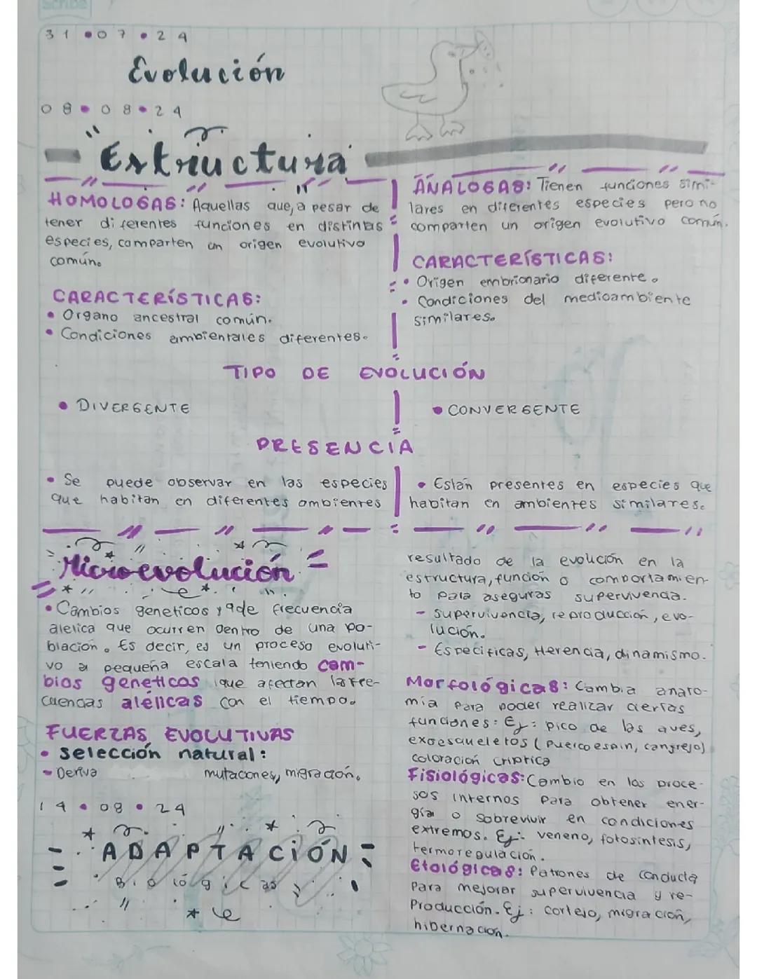 Evolucion, estructuras homologas y analogas, microevolucion