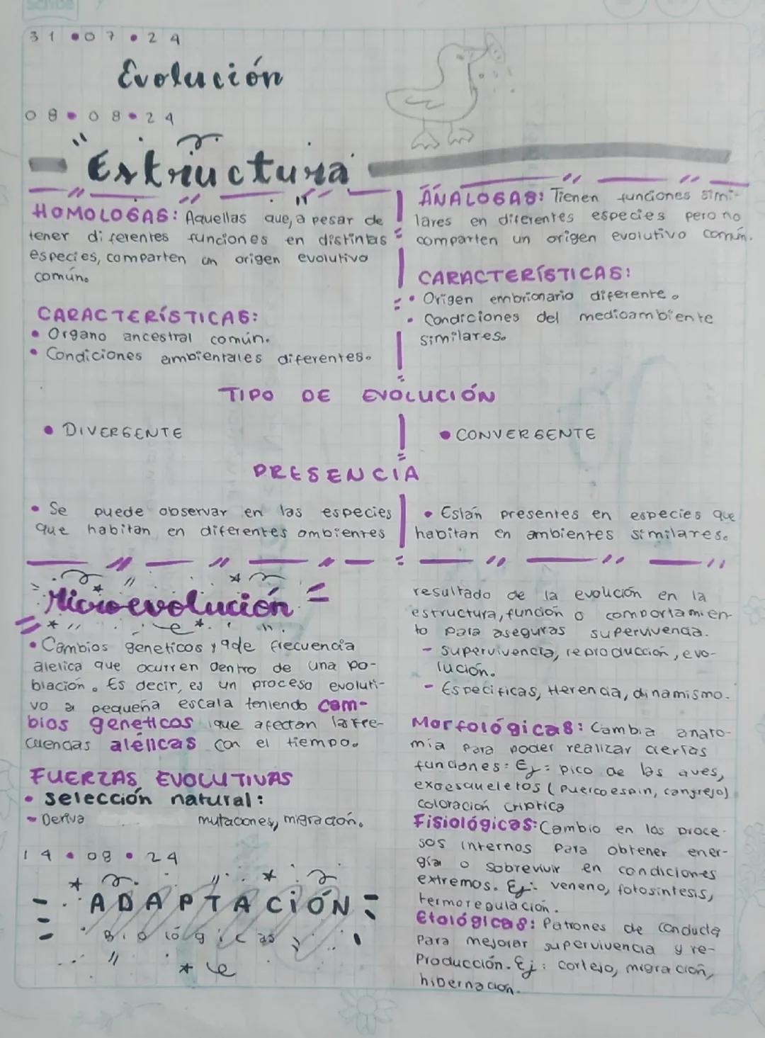 31
0.
7 24
Evolución
08.24
Estructura
HOMOLOGAS: Aquellas que, a pesar de
tener
di ferentes funciones en distintas
especies, comparten an or