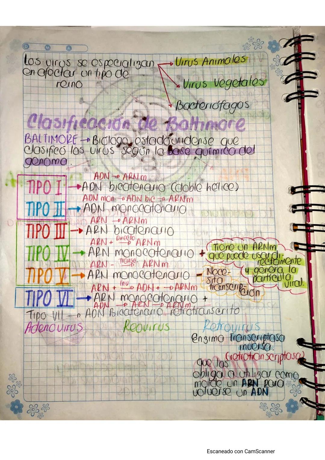# VIRUS
BIOMOLECULAS Compuestos químicos que
forman las estructuras de los organismos
01005.
Los virus no son células no pueden cumplir
De