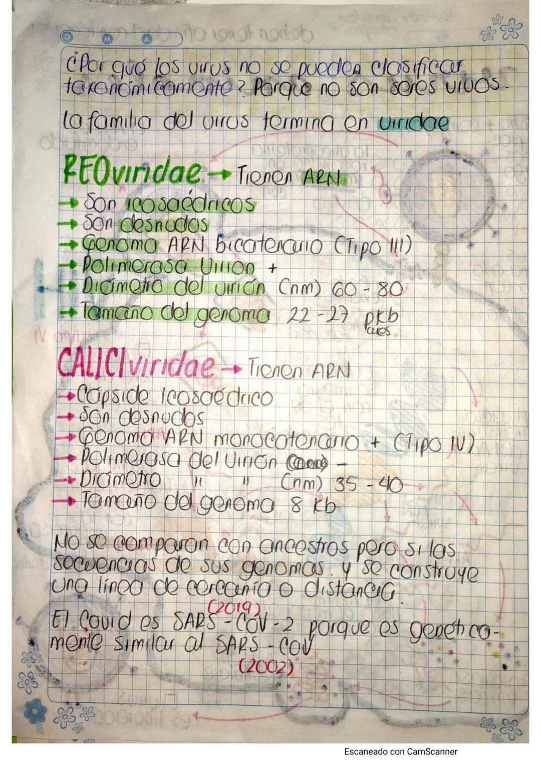 # VIRUS
BIOMOLECULAS Compuestos químicos que
forman las estructuras de los organismos
01005.
Los virus no son células no pueden cumplir
De