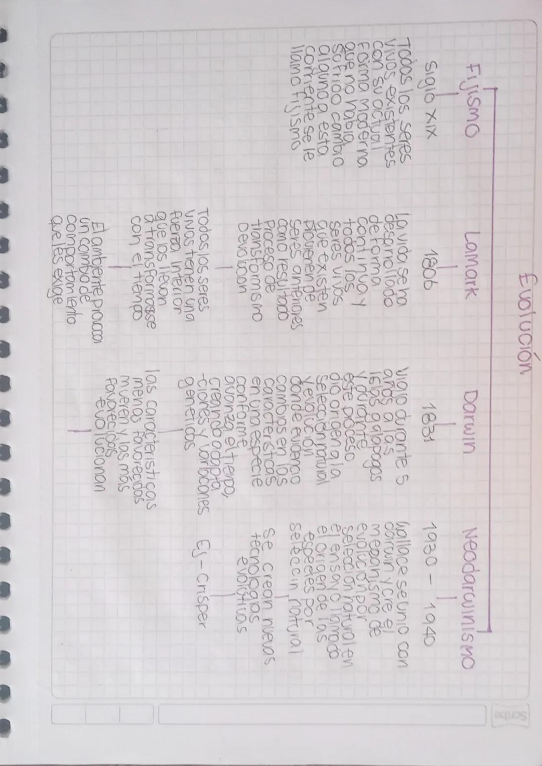 Scribe
FIJISMO
Siglo XIX
TOOOS los seres
VIVOS existentes
con su actual
Forma Moderna
que no habia
Sofrido cambio
alguno a esta
Corriente se