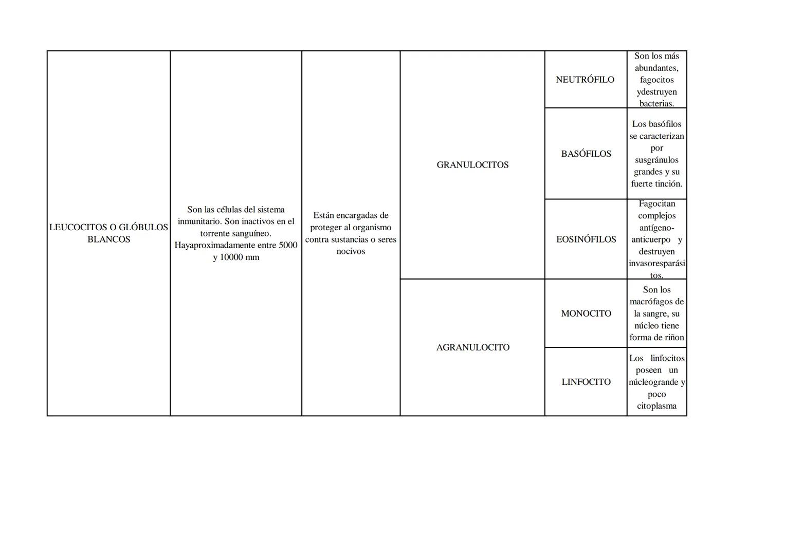 ¿QUÉ SON?
FUNCIÓN
ERITROCITOS, GLÓBULOS
ROJOS O HEMATÍES
Son células que carecen de núcleo
y cualquier otro organelo. Son las
más abundantes