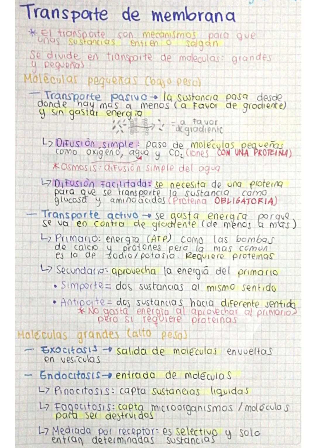Transporte de membrana-ICFES
