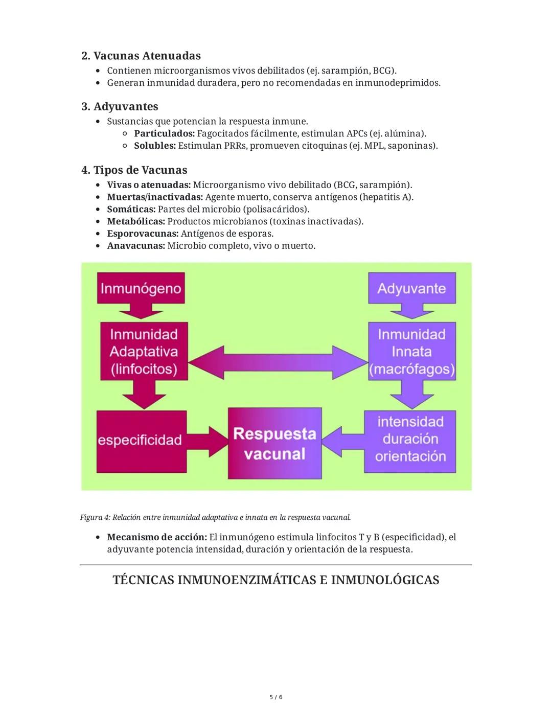 LINFOCITOS T
1. Ontogenia y Desarrollo de las Células T
El desarrollo de los linfocitos T inicia en la médula ósea con células madre
hematop