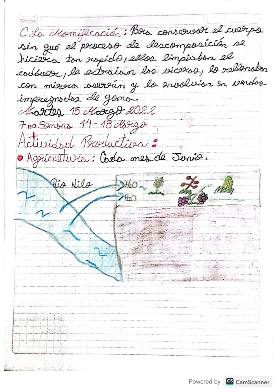 Miercoles 02 Marzo 2022
Civilización Egipcio
ubicación: Agric
llonvers aluvial de río Nilo
Ventojas:
a. Desierto: Los aislaba de sus remigos