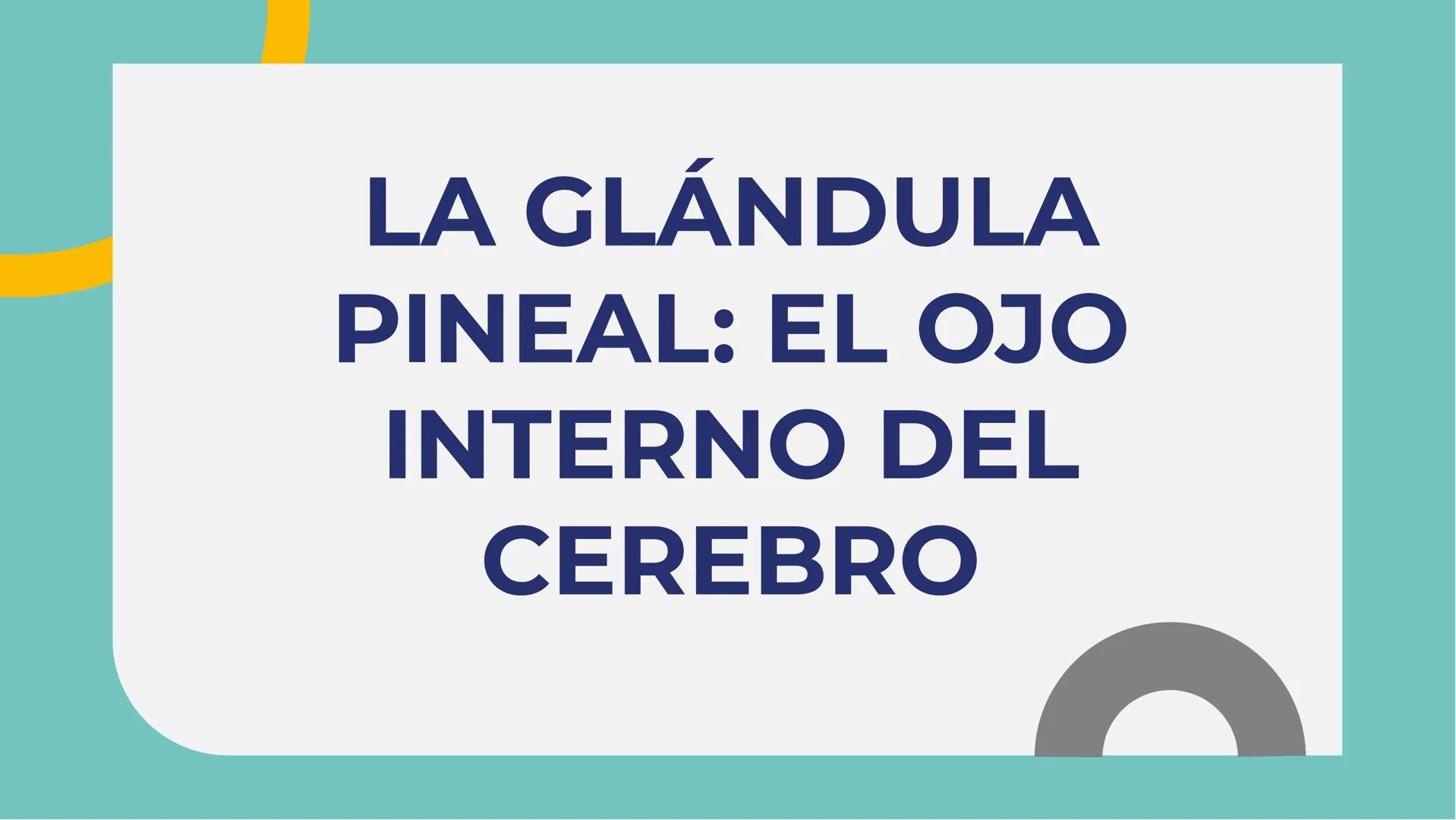 # LA GLÁNDULA
# PINEAL: EL OJO
# INTERNO DEL
# CEREBRO # LA GLÁNDULA PINEAL: EL
# OJO INTERNO DEL CEREBRO
La glándula pineal es una
estr