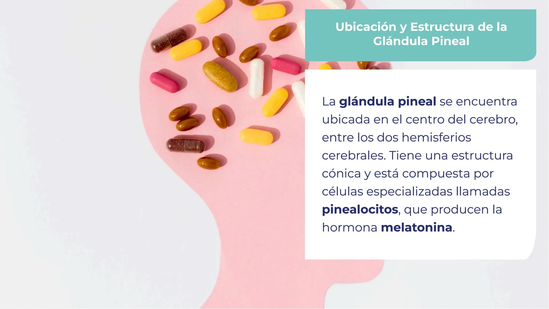 # LA GLÁNDULA
# PINEAL: EL OJO
# INTERNO DEL
# CEREBRO # LA GLÁNDULA PINEAL: EL
# OJO INTERNO DEL CEREBRO
La glándula pineal es una
estr