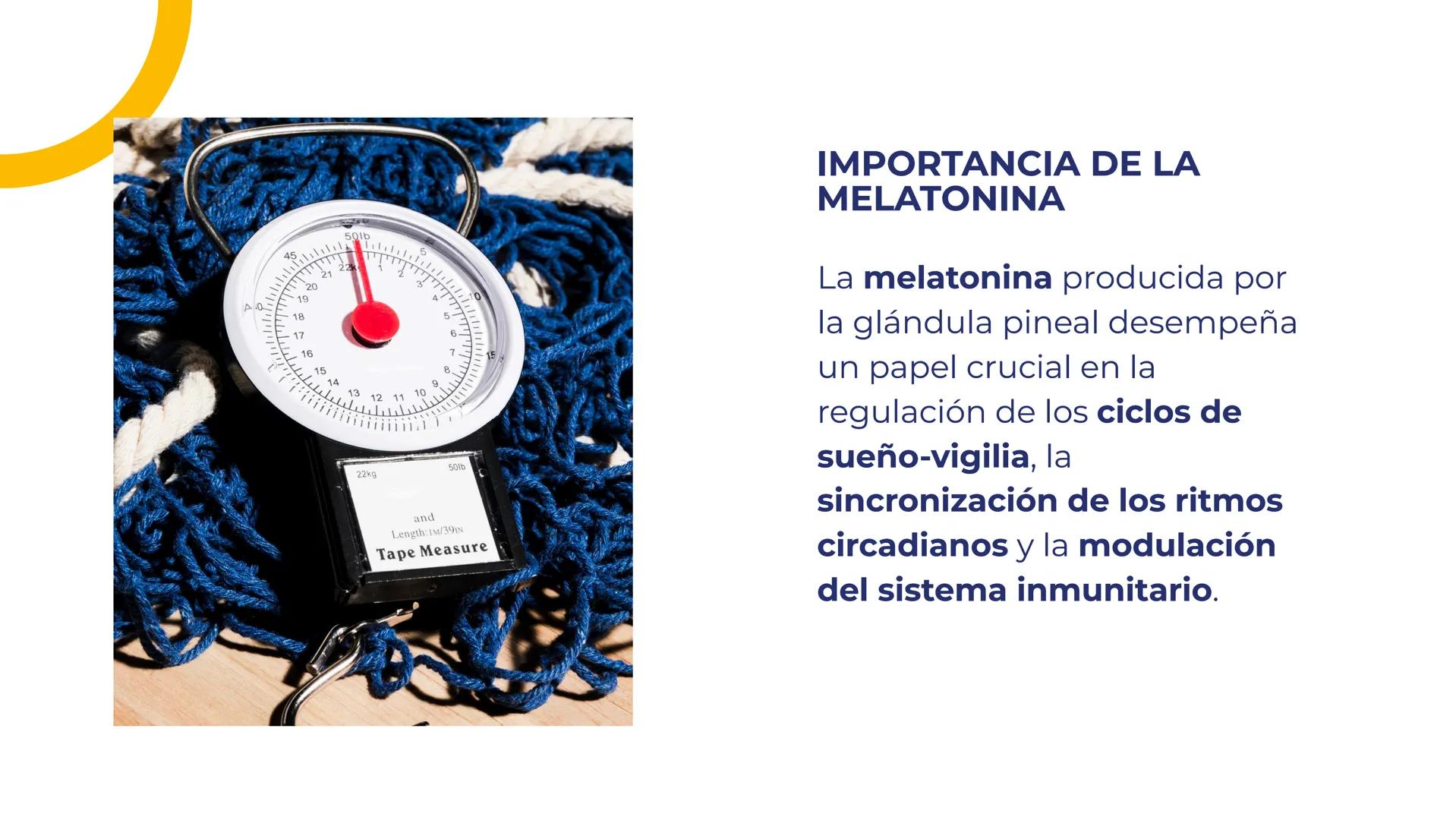 # LA GLÁNDULA
# PINEAL: EL OJO
# INTERNO DEL
# CEREBRO # LA GLÁNDULA PINEAL: EL
# OJO INTERNO DEL CEREBRO
La glándula pineal es una
estr