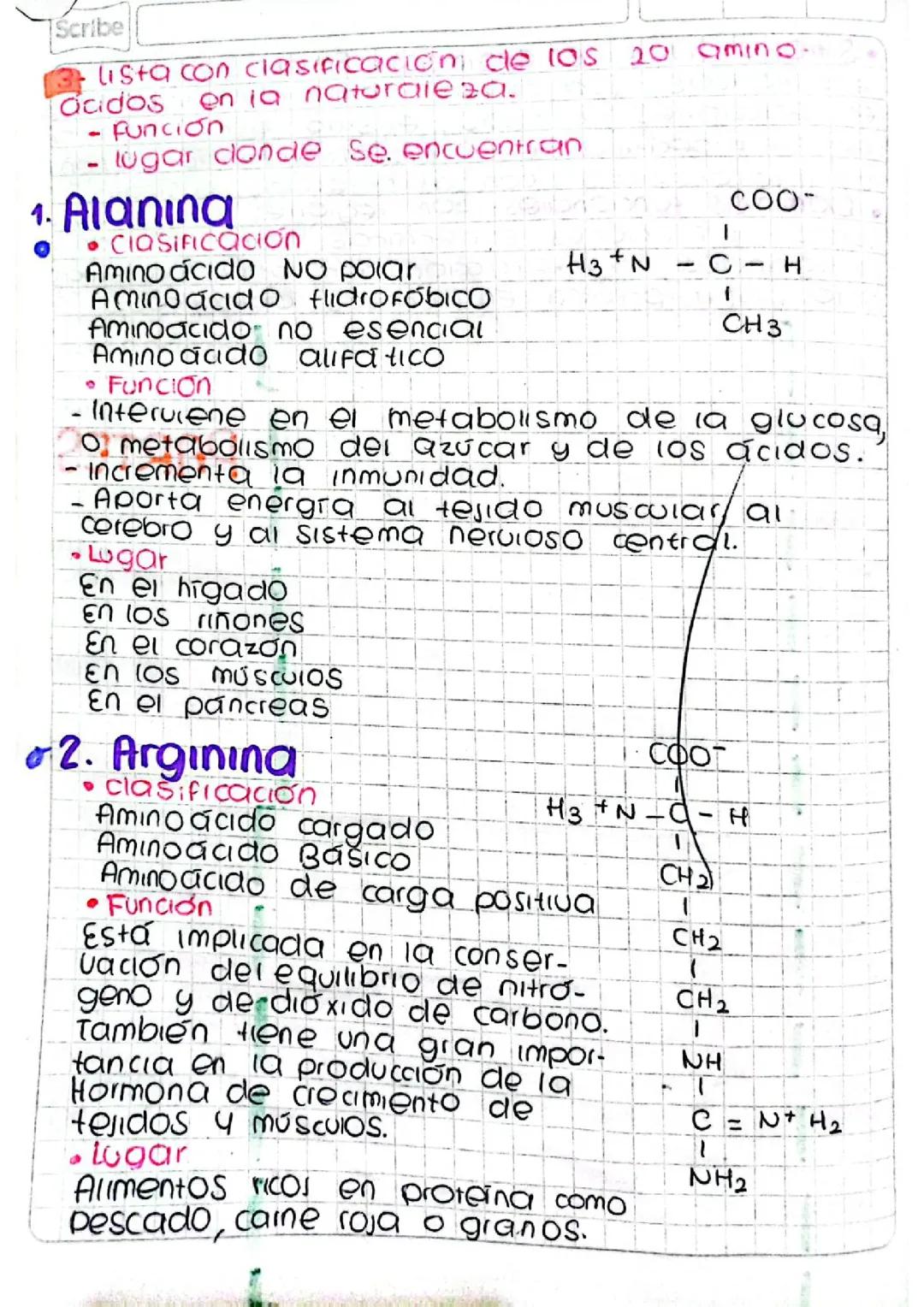 Clasificación de aminoácidos