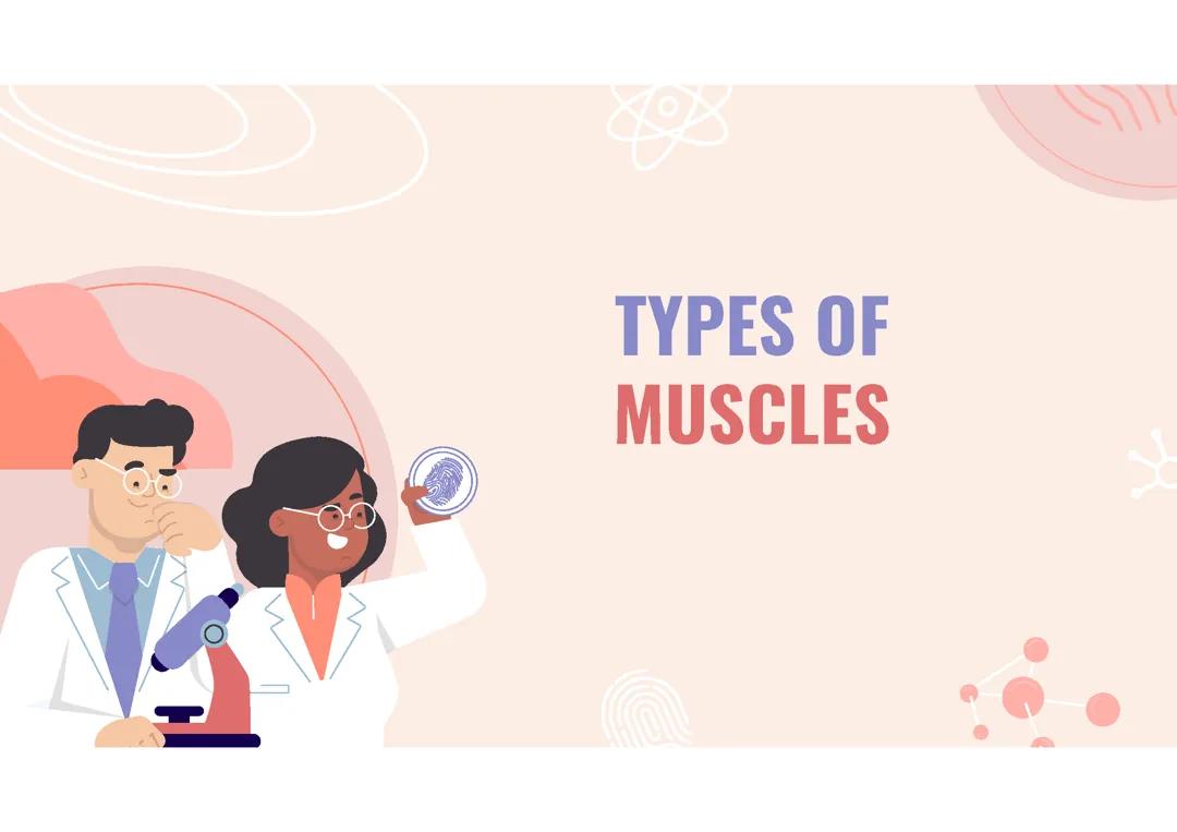 types of muscles