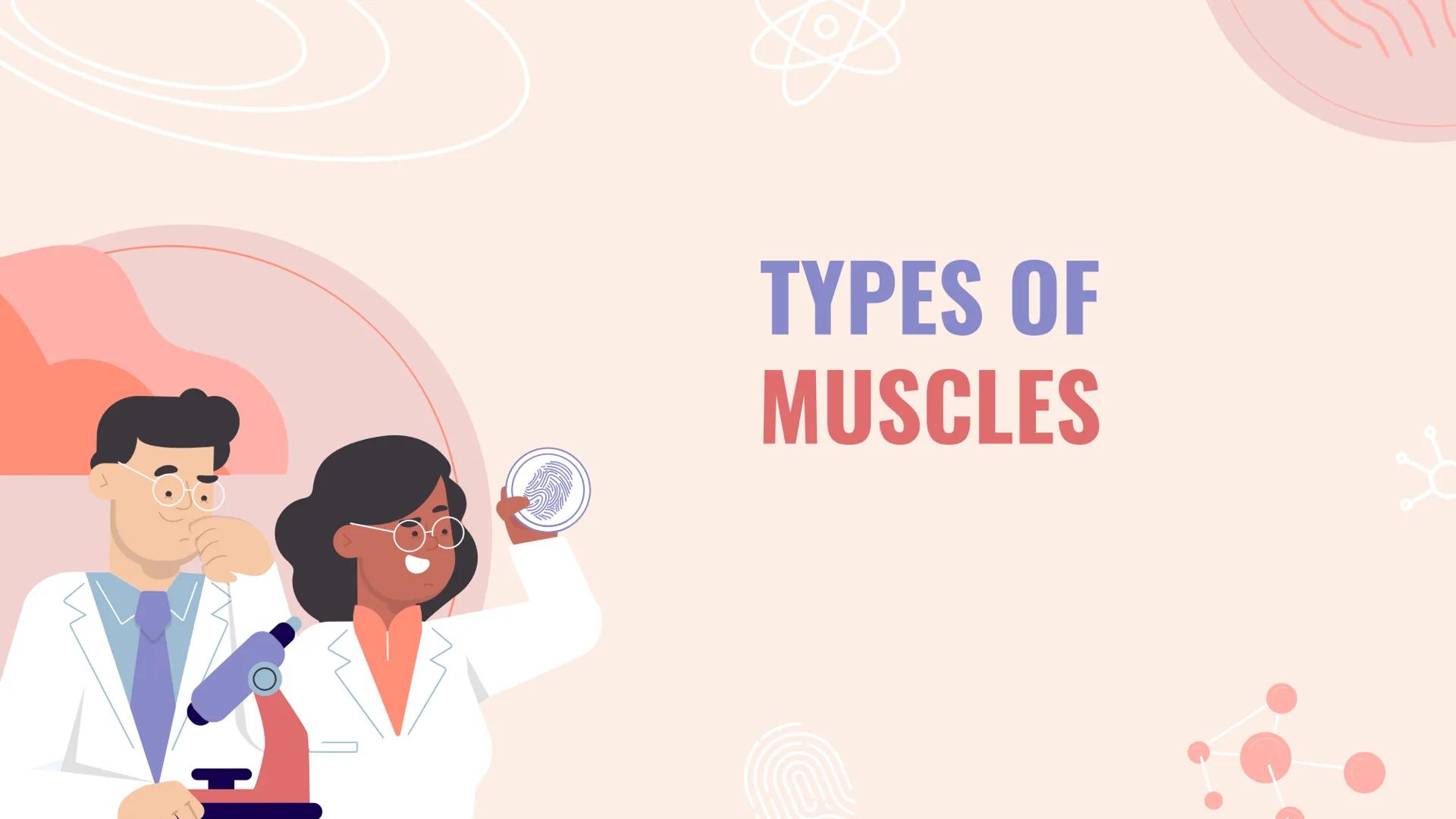 n
TYPES OF
MUSCLES What are the muscles?
The muscles of the human muscular system are composed of a kind of elastic
tissue. Every movement i