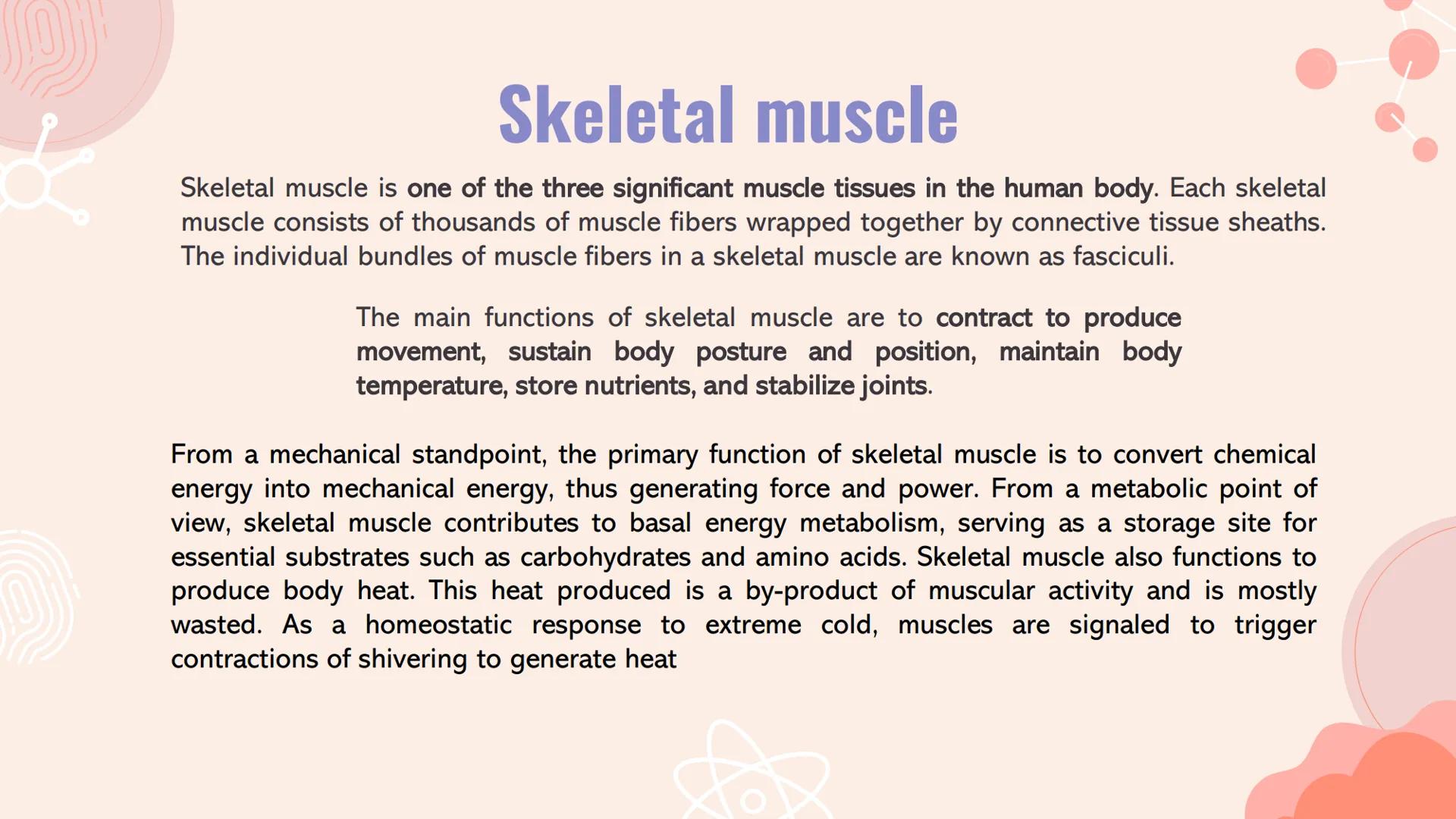 n
TYPES OF
MUSCLES What are the muscles?
The muscles of the human muscular system are composed of a kind of elastic
tissue. Every movement i