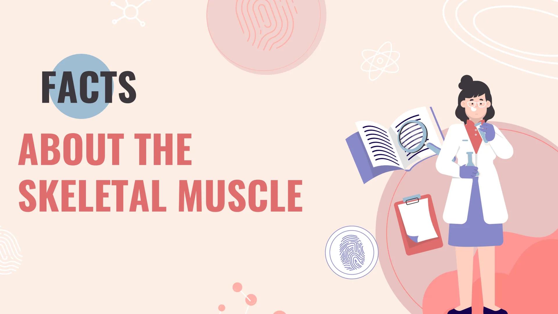 n
TYPES OF
MUSCLES What are the muscles?
The muscles of the human muscular system are composed of a kind of elastic
tissue. Every movement i