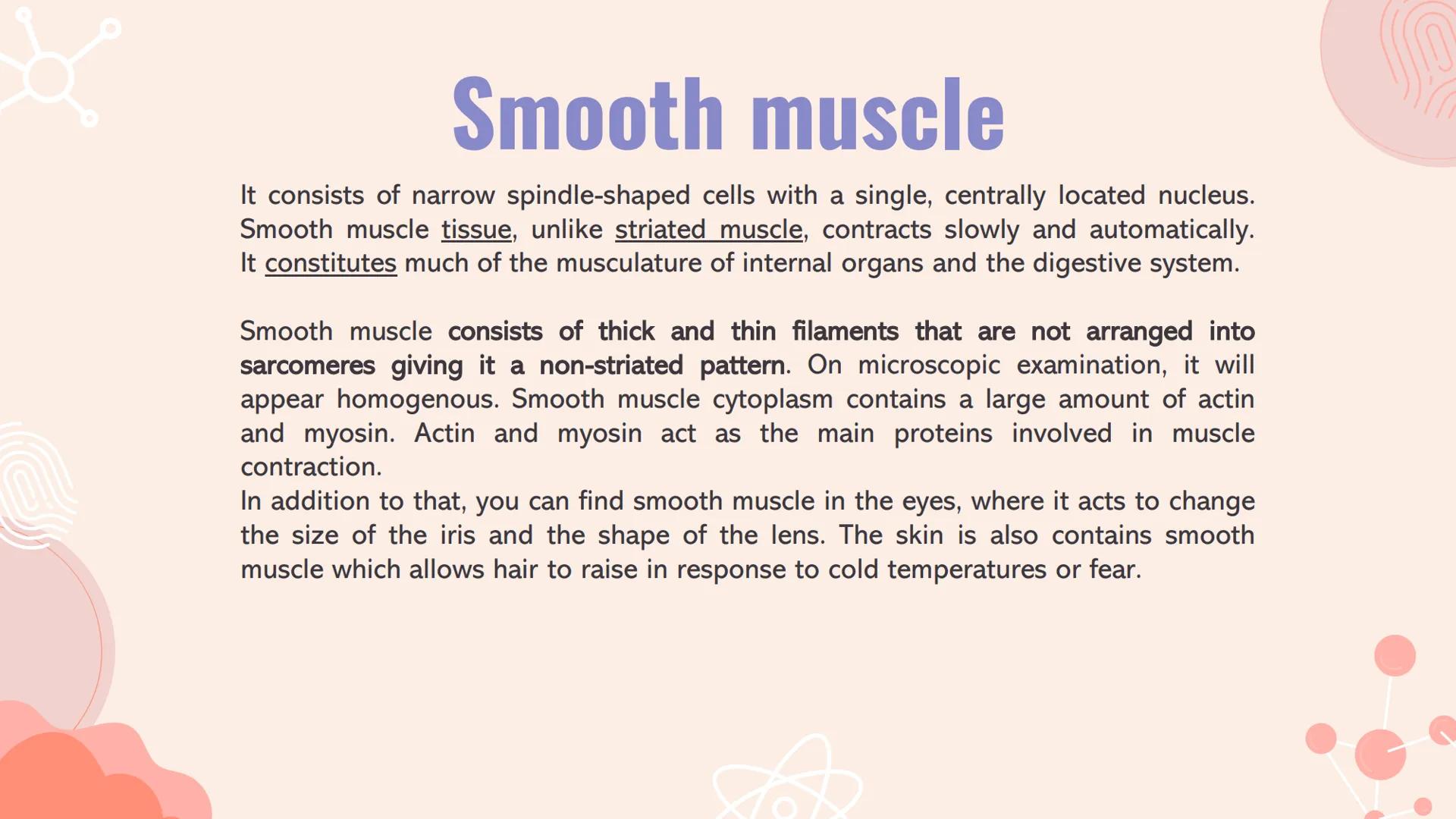 n
TYPES OF
MUSCLES What are the muscles?
The muscles of the human muscular system are composed of a kind of elastic
tissue. Every movement i