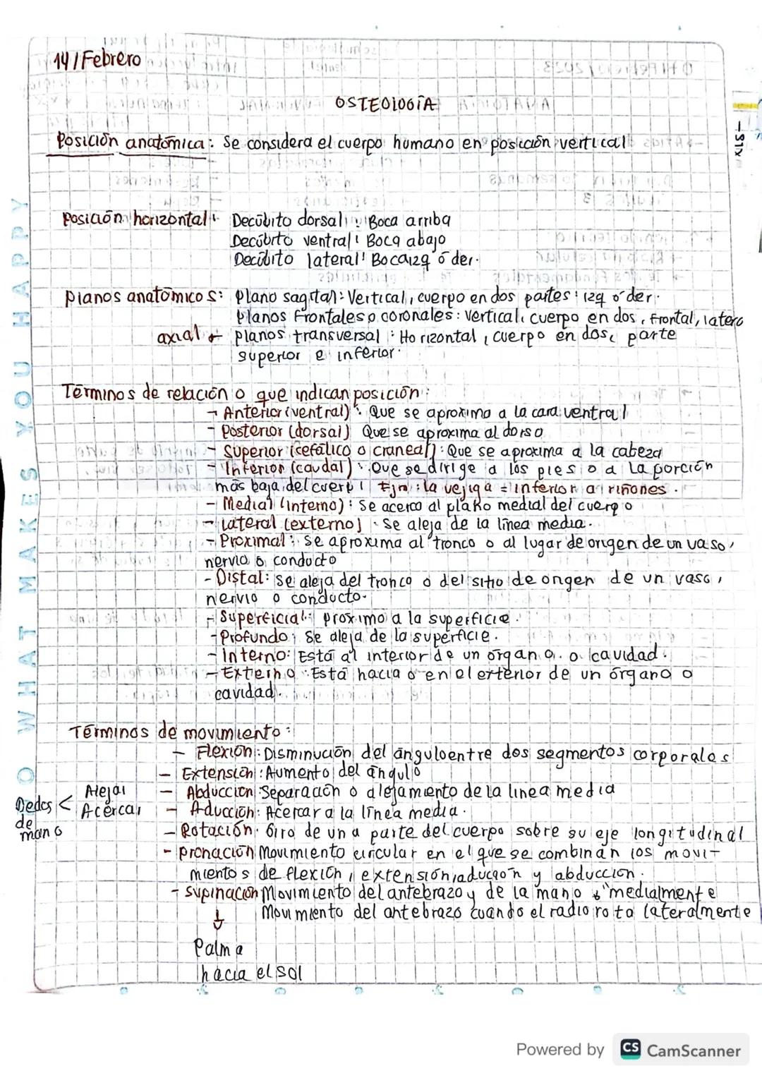 14/Febrero
APPY
YO
S
WHAT MAKE
JA OSTEOLOGIA OTAVA
Posición anatómica: Se considera el cuerpo humano en posición vertical-
Posición horiz