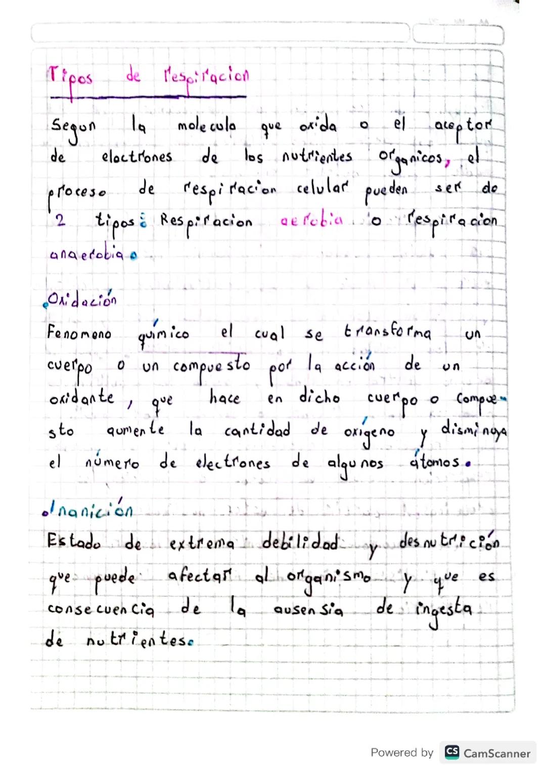 Tipos de Respiración