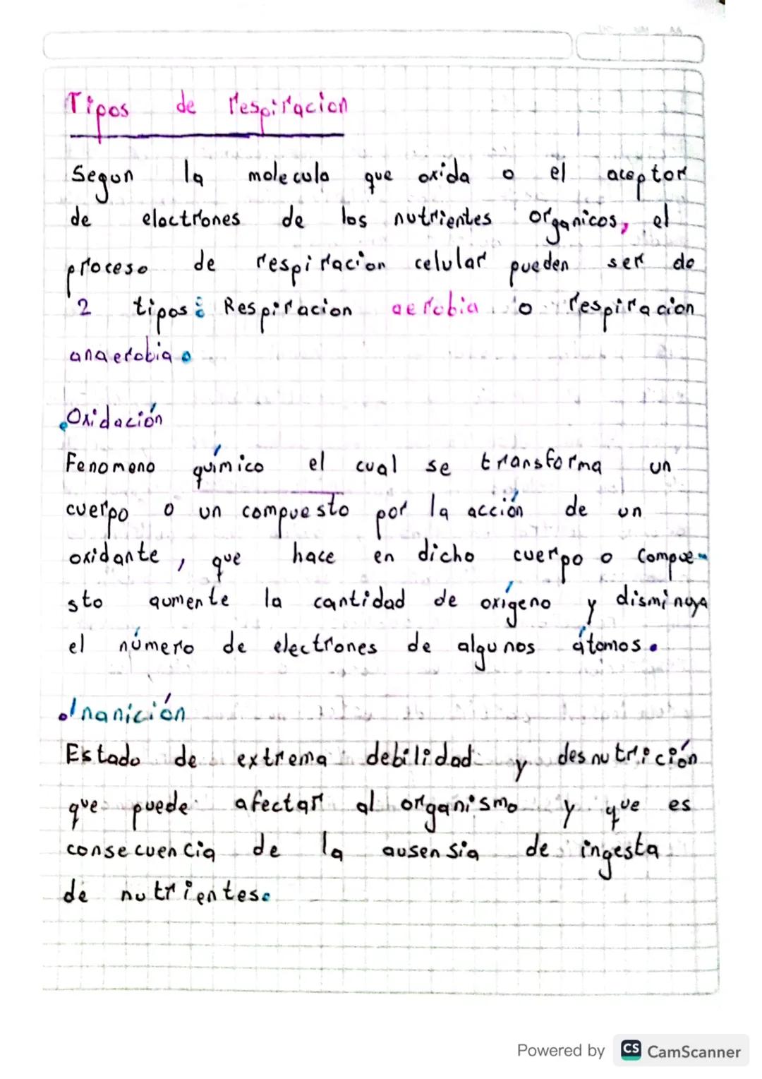 Tipos
de
respiracion
Segun la
molecula
de
proceso
oxida
о el
que
aceptor
electrones de los nutrientes organicos, et
de
respiración celular p