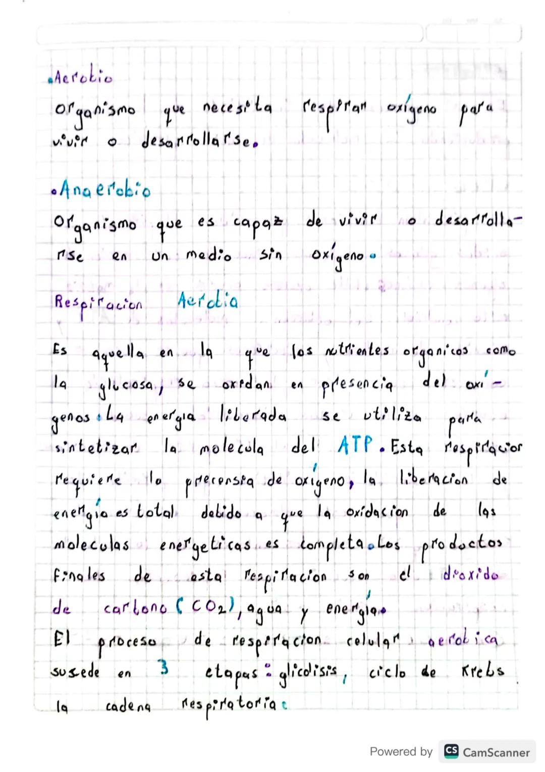 Tipos
de
respiracion
Segun la
molecula
de
proceso
oxida
о el
que
aceptor
electrones de los nutrientes organicos, et
de
respiración celular p