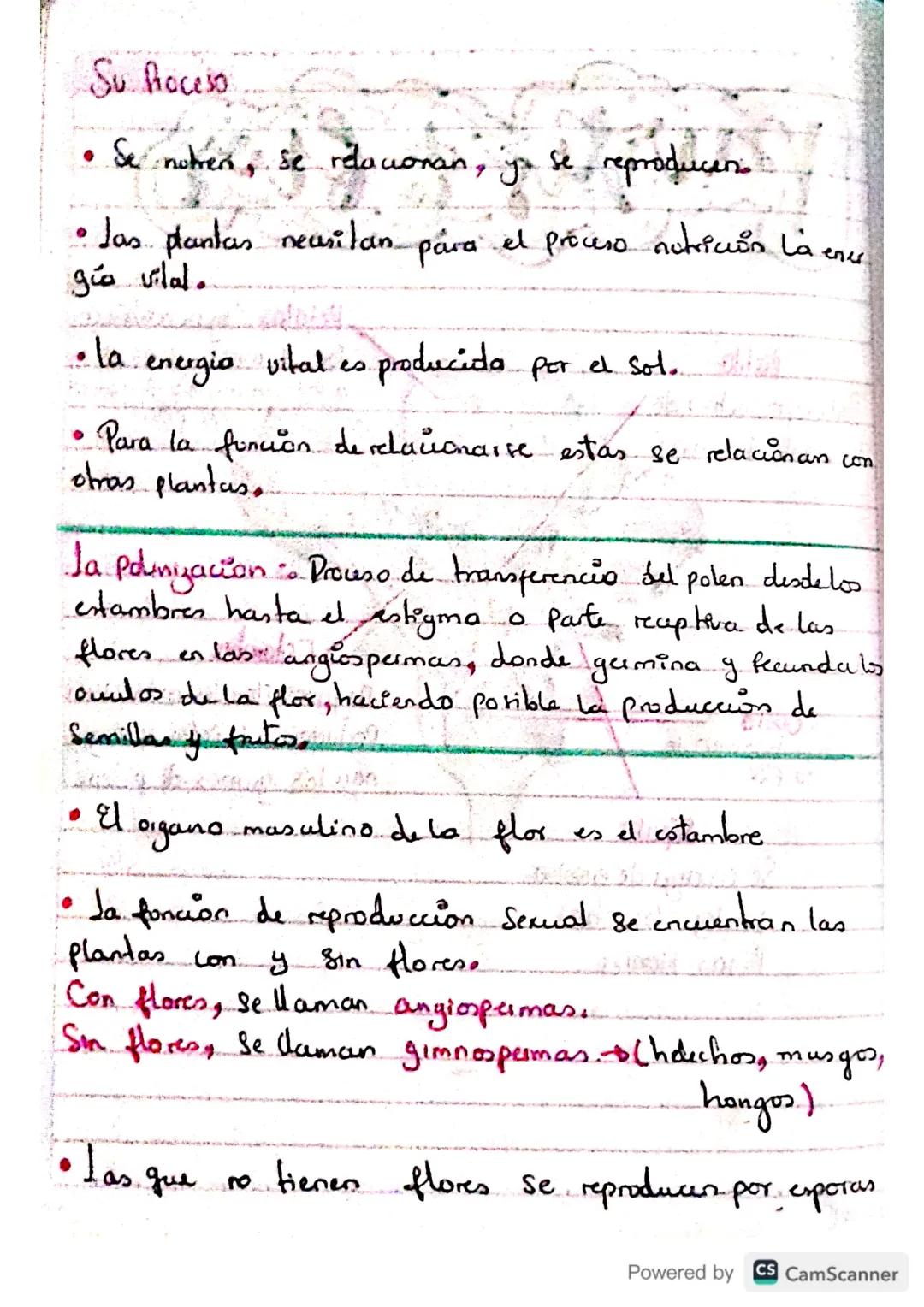 # partes flor
Pishlo
Pate reproductiva de
la planta femenina
Petalos hojas modificar
das de varios colores, atroen.
a los animales portado