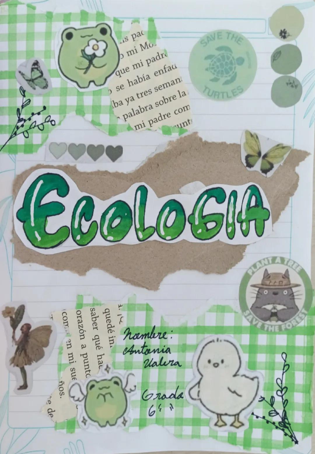 --- OCR Start ---
is pac
mi Mo.
que mi padre
se había enfau
ba ya tres seman
palabra sobre la
mi padre com
unt
SAVE
E THE
TURTLES
EcoLoGIA
c