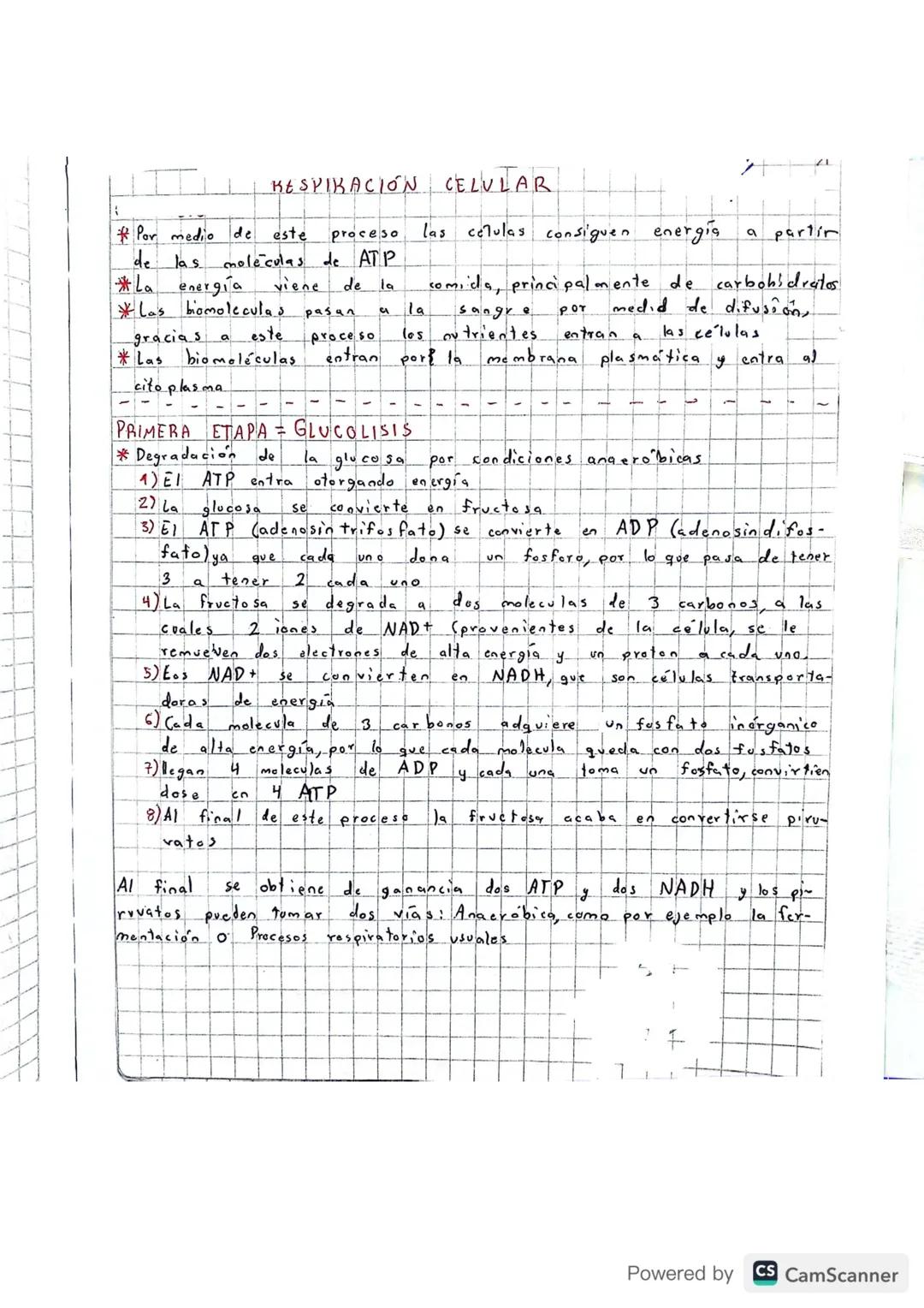 RESPIRACIÓN
* Por medio de
este
proceso
de las
moléculas de ATP
La energia
viene
de la
* Las biomoleculas pasan
и
la
gracias a
este
proceso