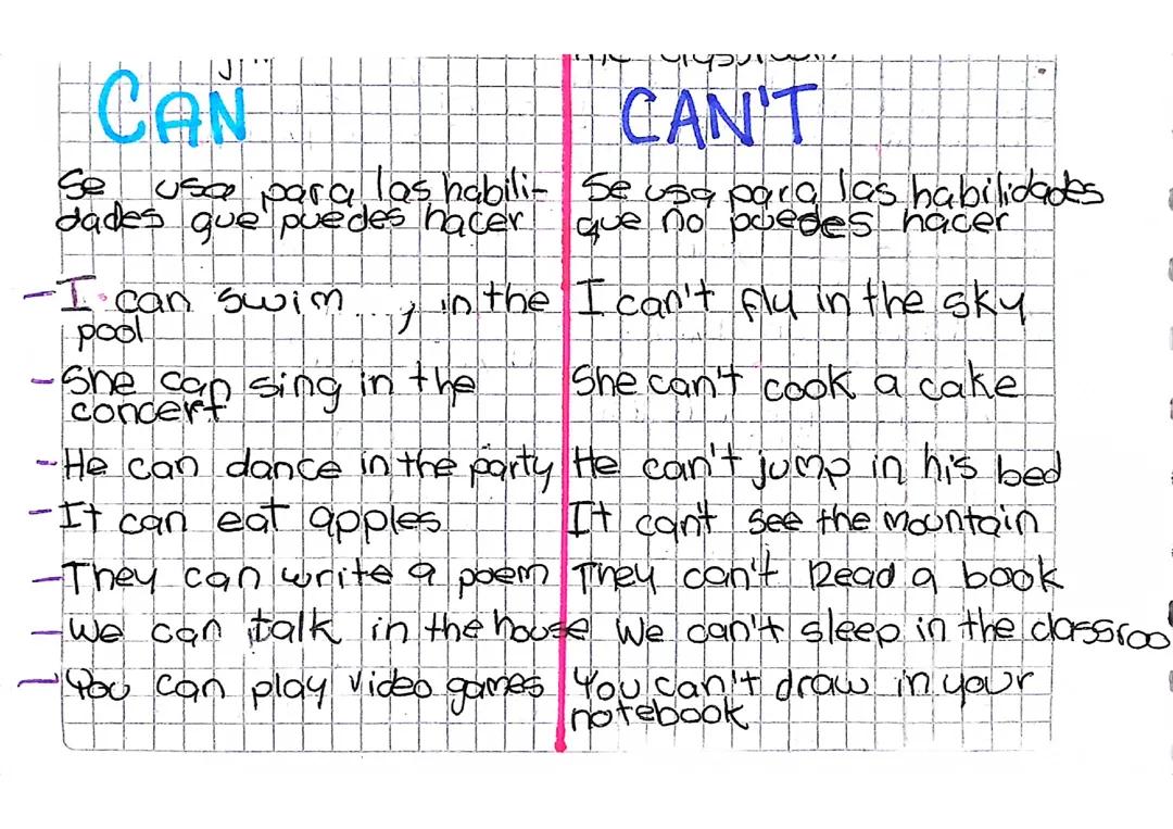 Can - Can't