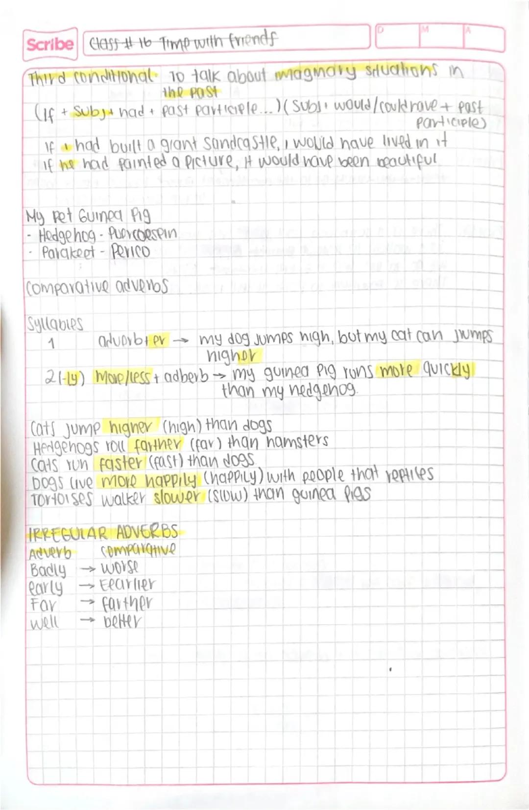 Third conditional and the use of ever and never