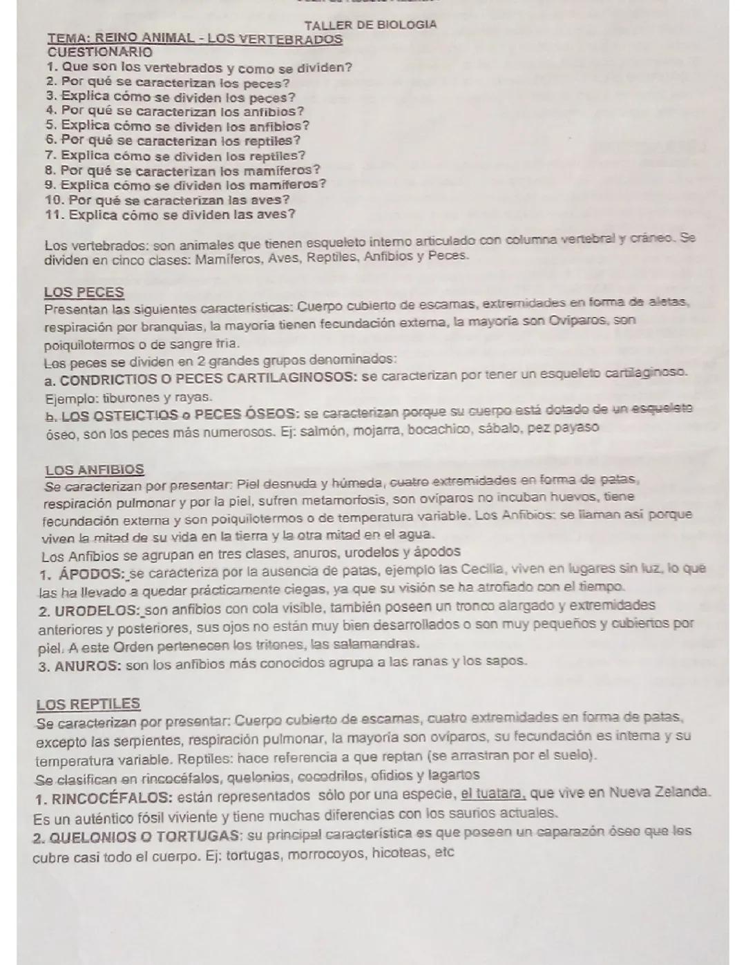 Reino animal- los vertebrados