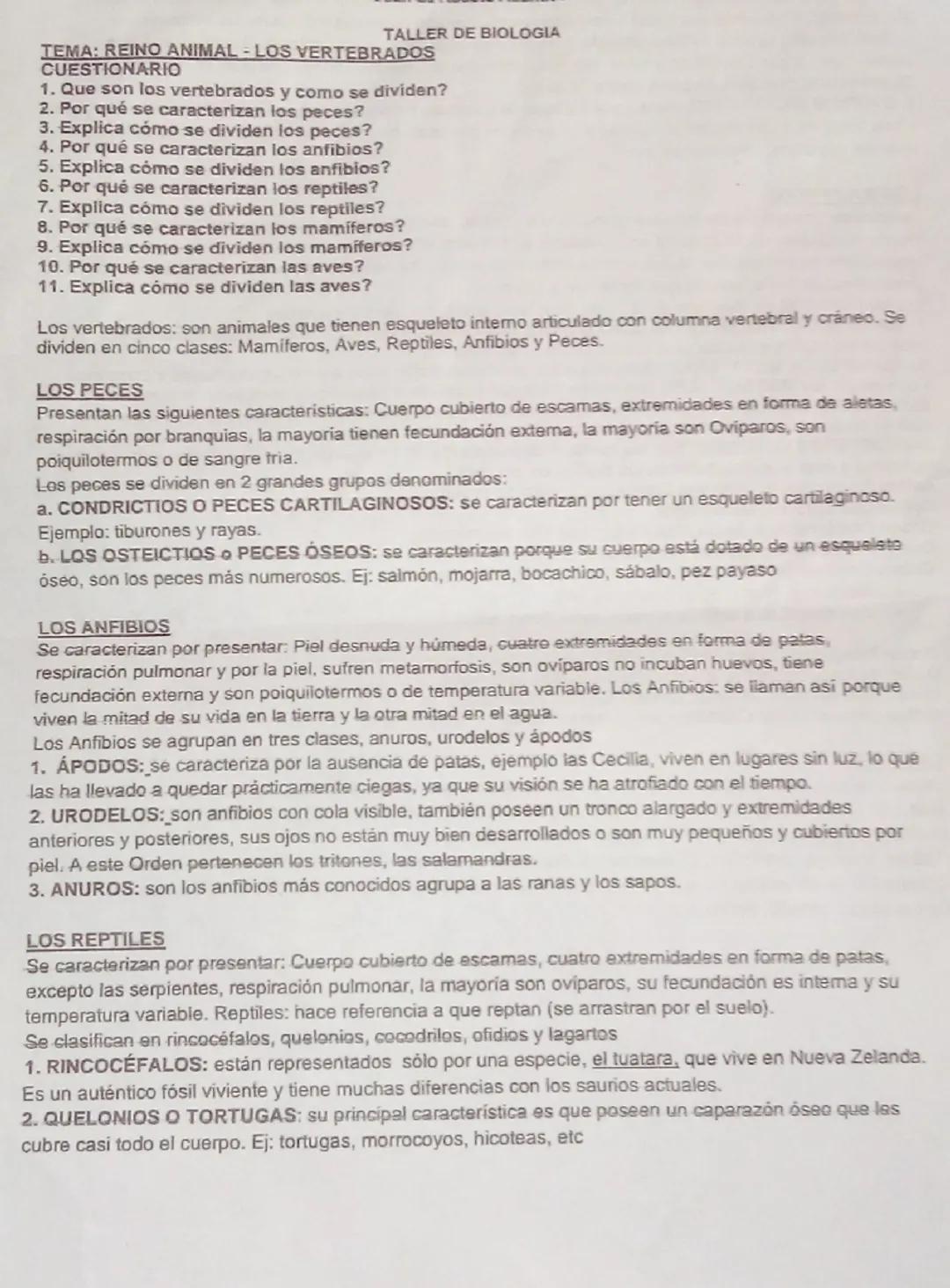 TALLER DE BIOLOGIA
TEMA: REINO ANIMAL-LOS VERTEBRADOS
CUESTIONARIO
1. Que son los vertebrados y como se dividen?
2. Por qué se caracterizan