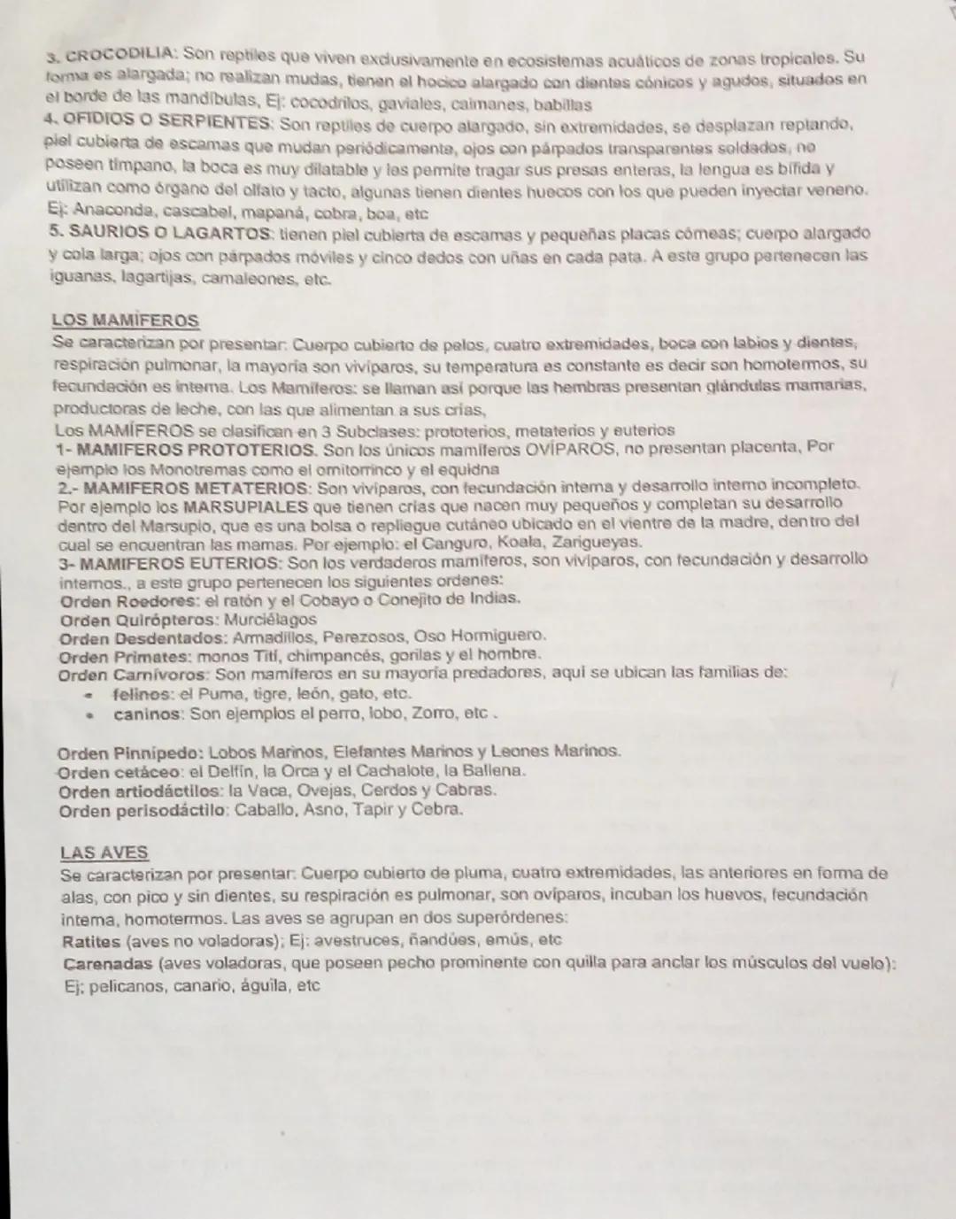 TALLER DE BIOLOGIA
TEMA: REINO ANIMAL-LOS VERTEBRADOS
CUESTIONARIO
1. Que son los vertebrados y como se dividen?
2. Por qué se caracterizan