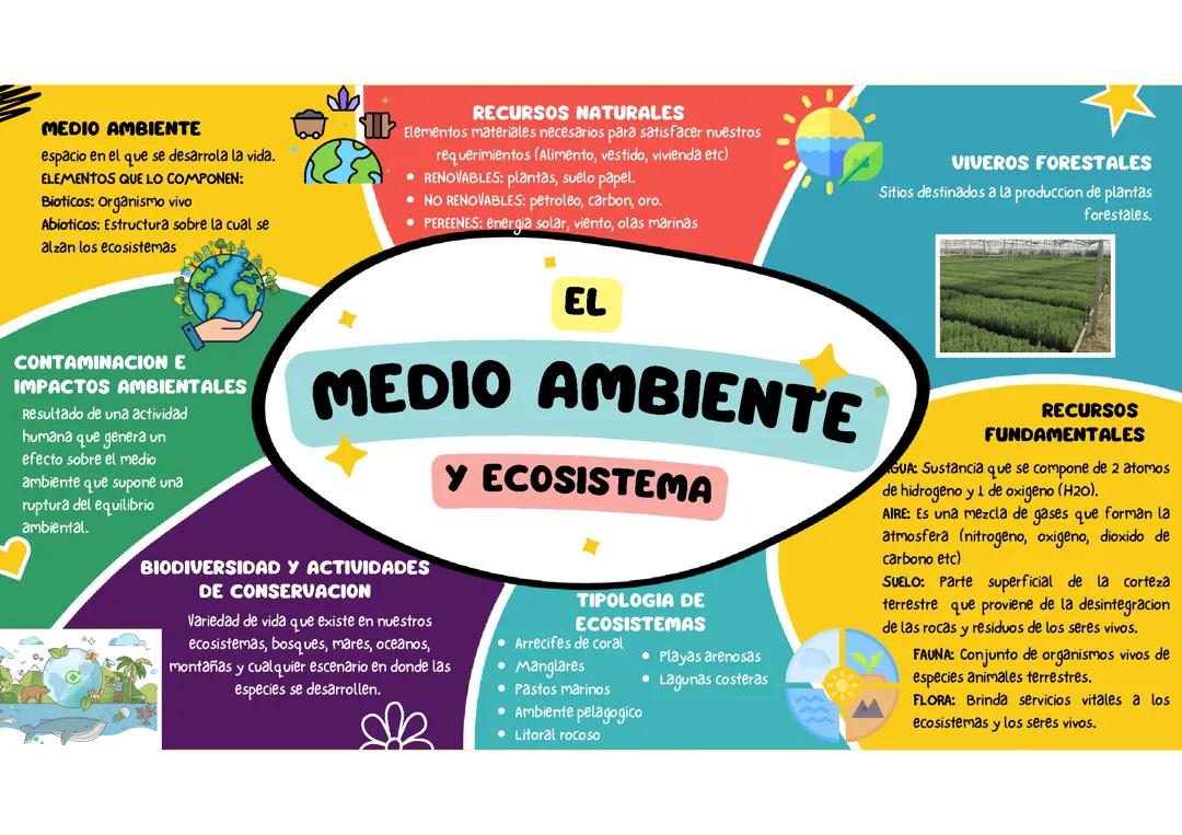 Medio ambiente y sus ecosistemas