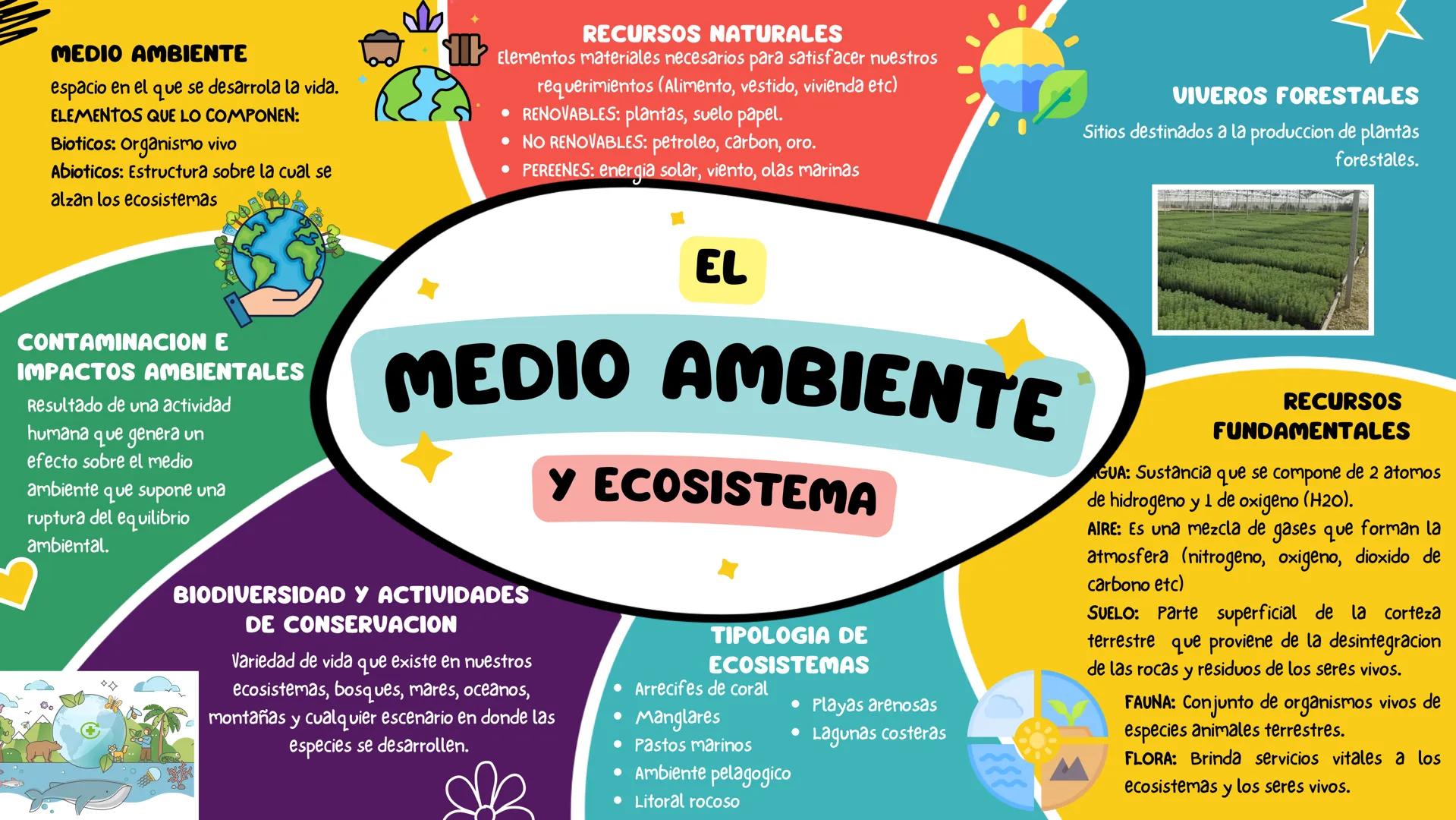 MEDIO AMBIENTE
espacio en el que se desarrola la vida.
ELEMENTOS QUE LO COMPONEN:
Bioticos: Organismo vivo
Abioticos: Estructura sobre la cu