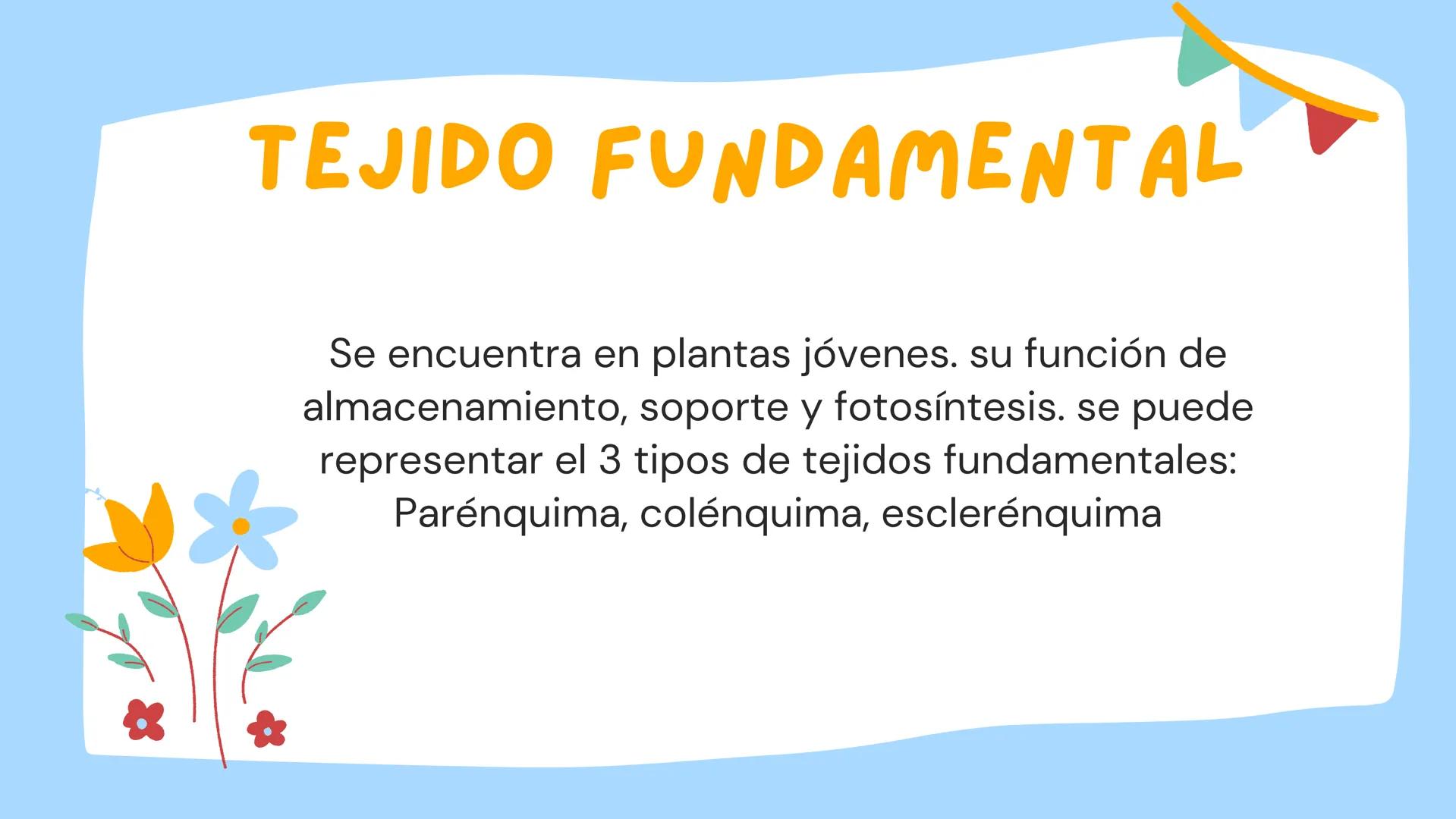TOMAS SANTIAGO BELTRAN
ÁLBUM
PROYECTO
FINAL
6° *
INDICE
TEJIDOS VEGETALES
-TEJIDO MERISTEMATICO
-TEJIDO DERMICO PROTECTOR
-TEJIDO FUNDAMENTA