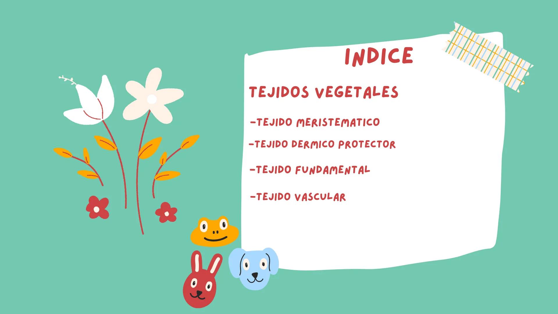 TOMAS SANTIAGO BELTRAN
ÁLBUM
PROYECTO
FINAL
6° *
INDICE
TEJIDOS VEGETALES
-TEJIDO MERISTEMATICO
-TEJIDO DERMICO PROTECTOR
-TEJIDO FUNDAMENTA