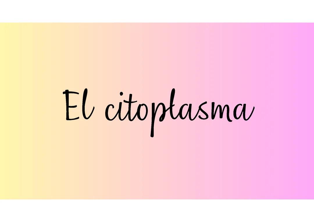 El citoplasma