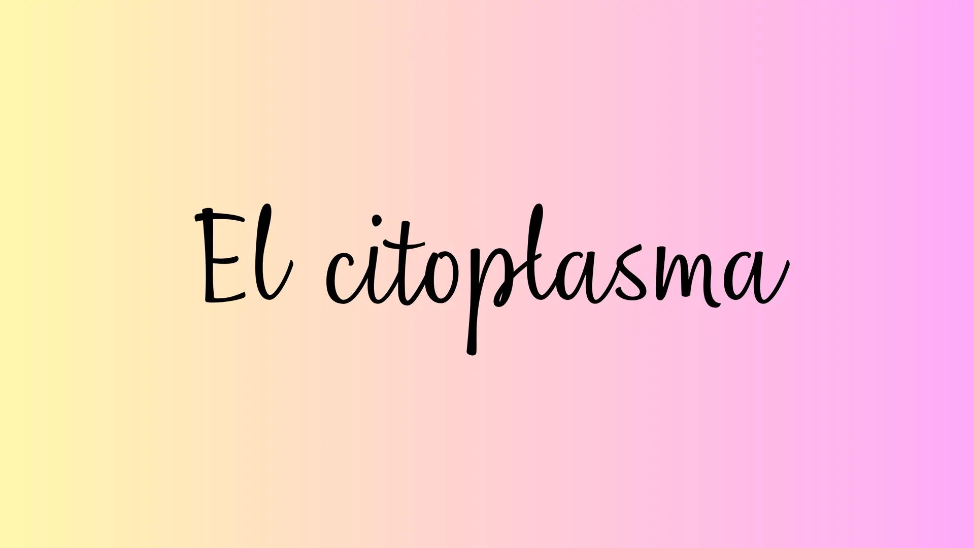 El citoplasma ¿QUE ES?
Se denomina citoplasma al interior de las
células (protoplasma), que ocupa el área
entre el núcleo celular y la membr
