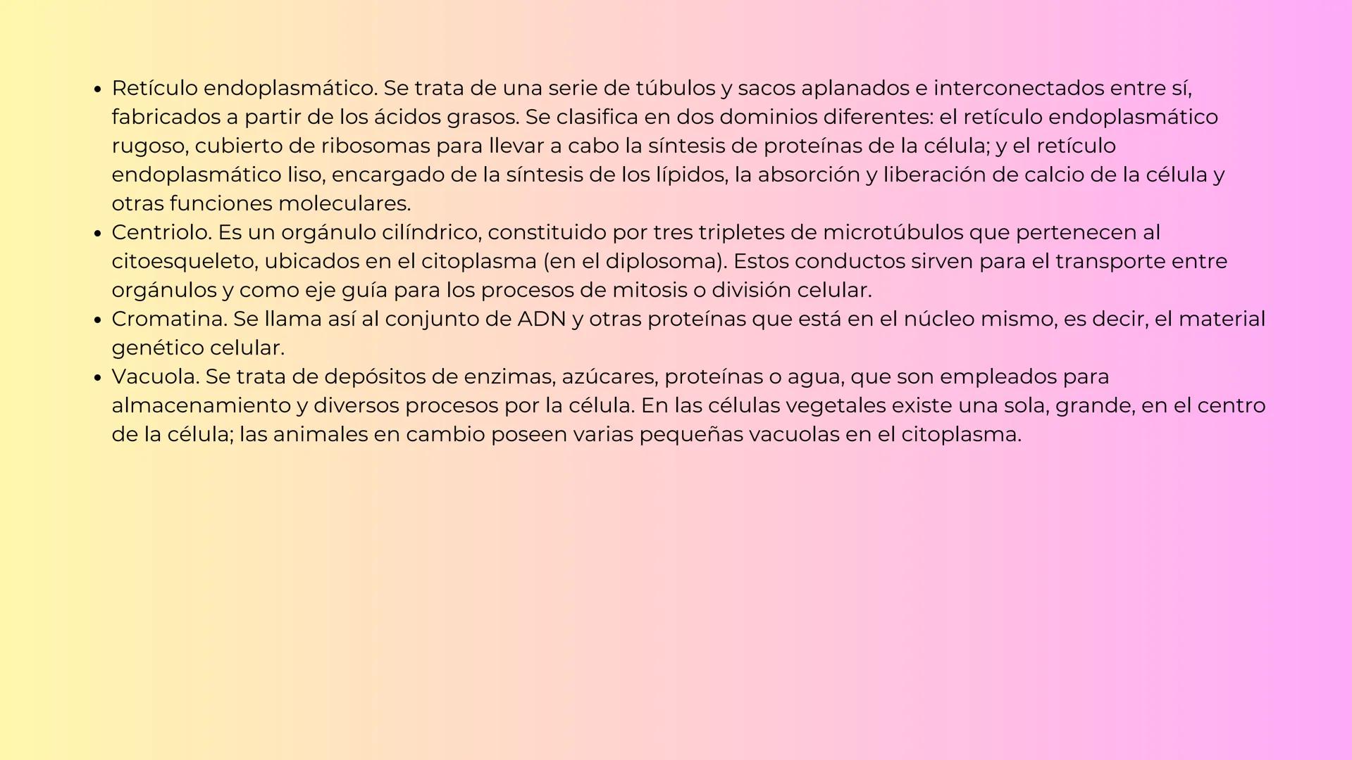 El citoplasma ¿QUE ES?
Se denomina citoplasma al interior de las
células (protoplasma), que ocupa el área
entre el núcleo celular y la membr