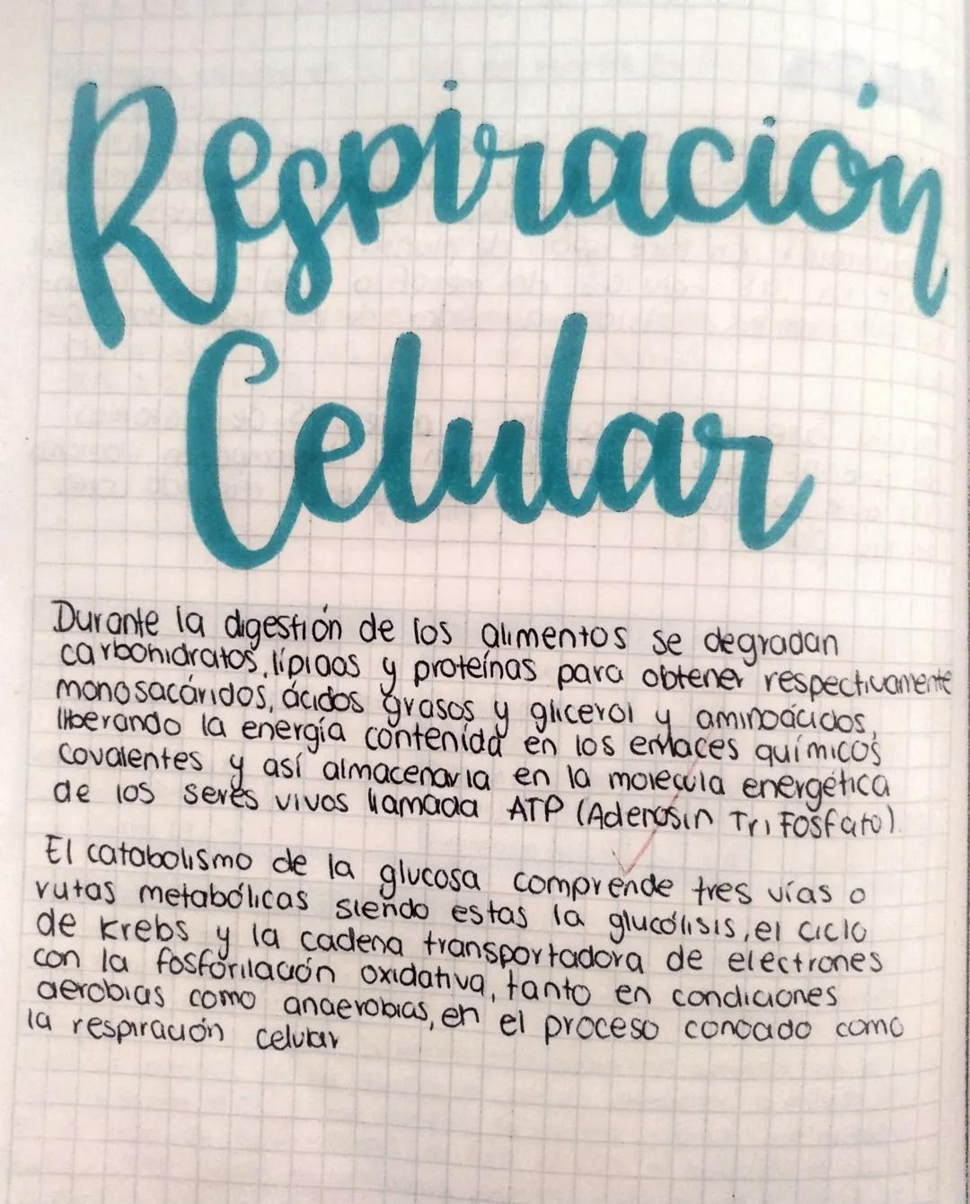 Respiración celular