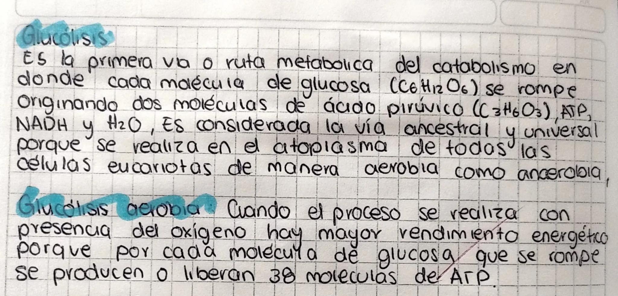 # Respiración
# Celular
Durante la digestión de los alimentos se degradan
carbohidratos, lipiaos y proteínas para obtener respectivamente