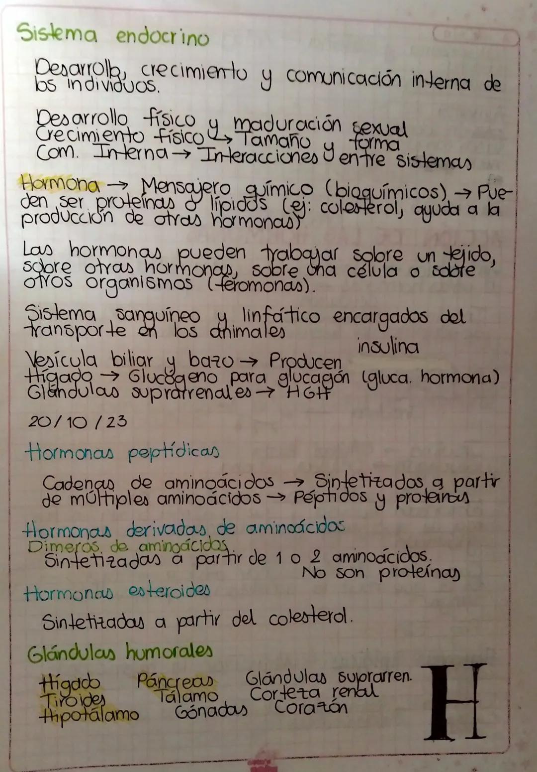 HORMONAS
En los animales.
Las células endocrinas liberan la hormona.
②La hormona entra en la sangre y es transportada
a todo el cuerpo.
3
de