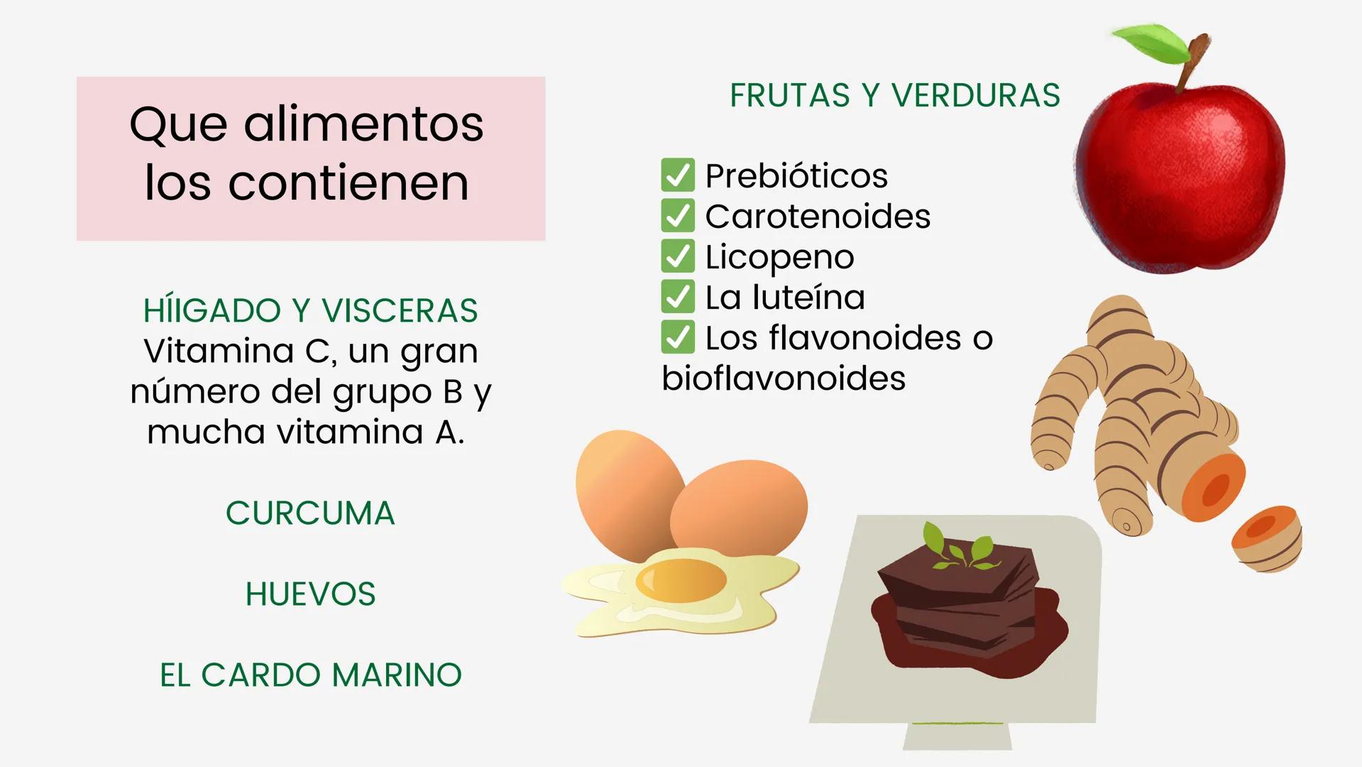 # VITAMINAS
# LIPOSOLUBLES ¿Qué funciones
tiene en el
organismo de los
seres vivos?
Actividad antioxidante y
estimulación de los tejidos
e