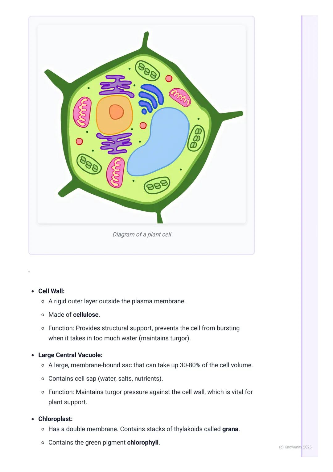 # Cell Structure and Function
Introduction to cell theory and types
The cell is the fundamental structural and functional unit of all know