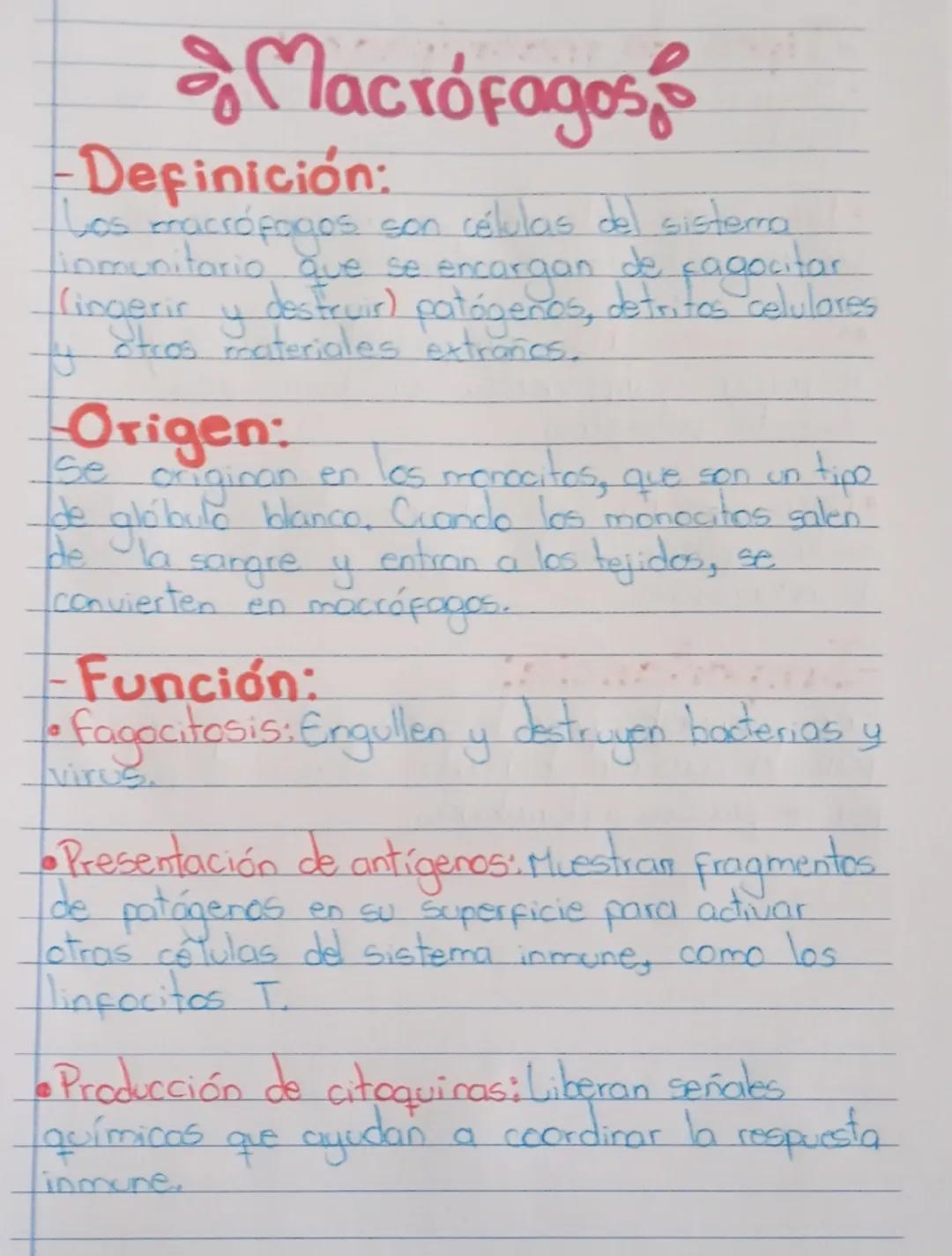 # Macrófagos
-Definición:
Los macrófogos son células del sistema
imunitario que se encargan de fagocitar
(ingerir y destruir) patógenos, de