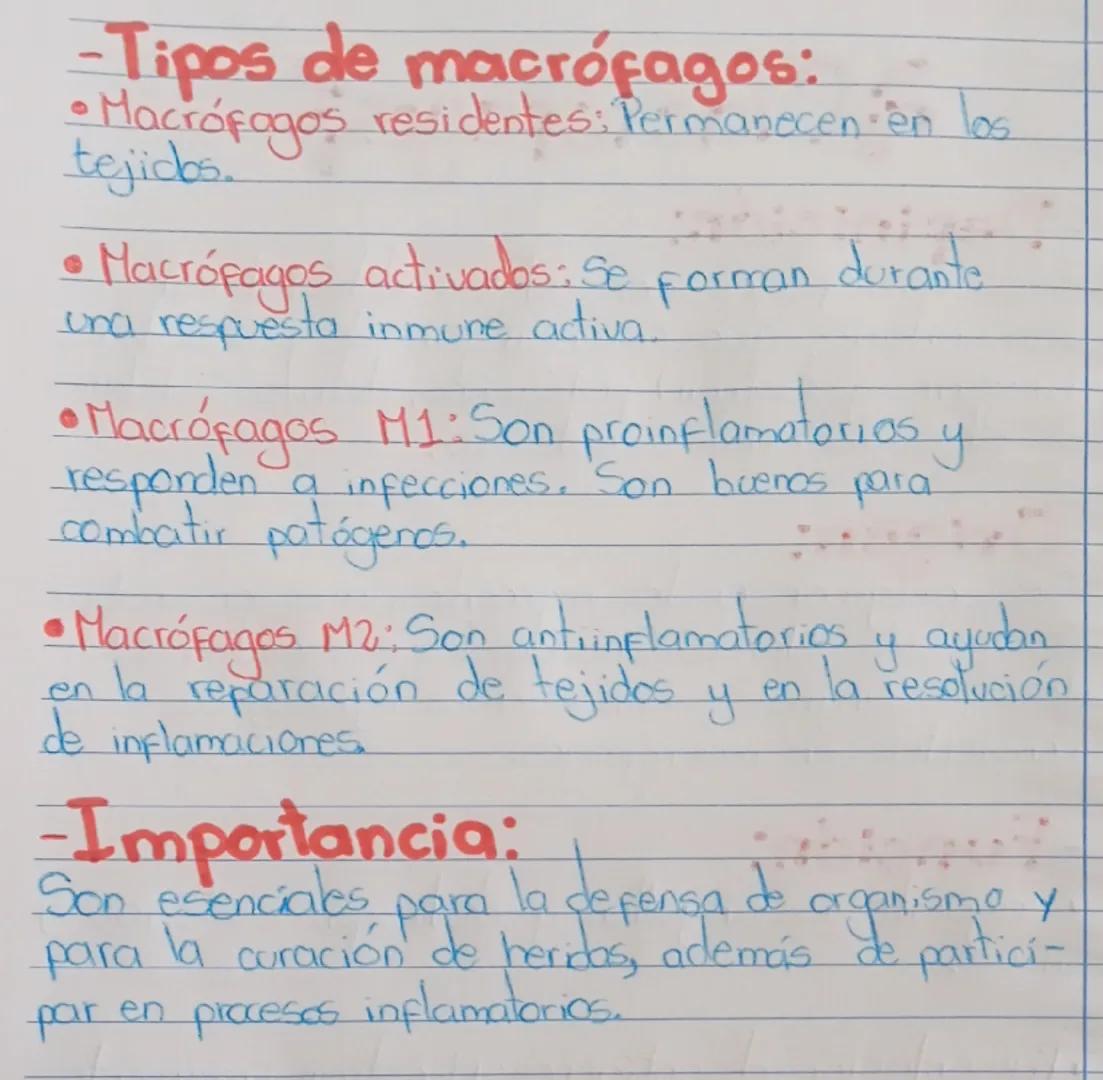 # Macrófagos
-Definición:
Los macrófogos son células del sistema
imunitario que se encargan de fagocitar
(ingerir y destruir) patógenos, de