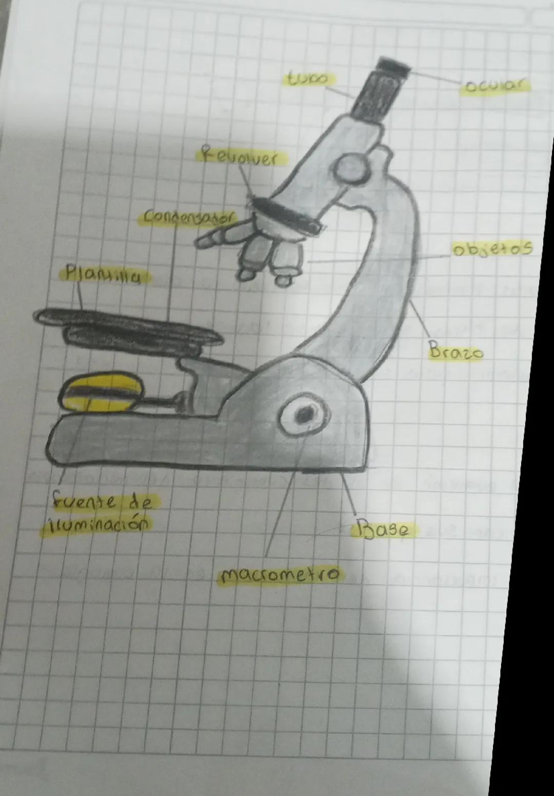 El microscopio y sus partes