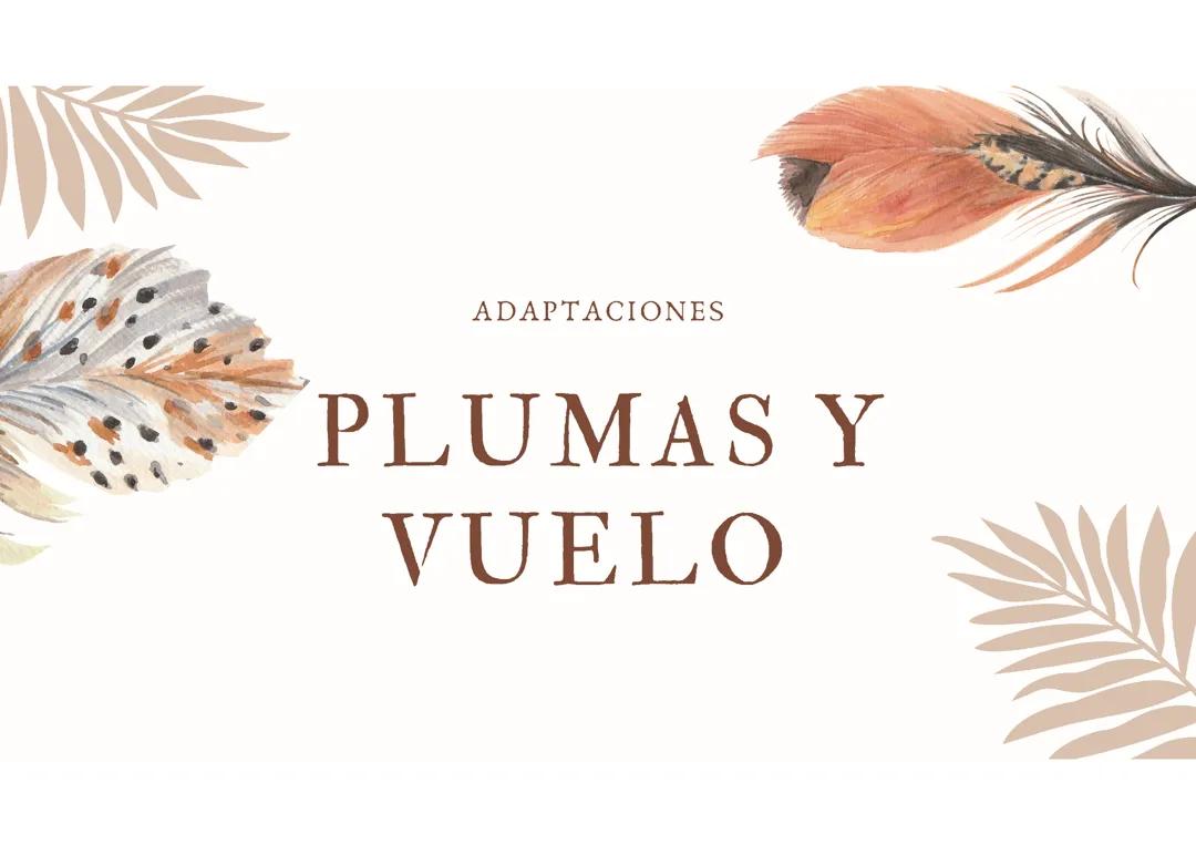 Plumas y vuelo