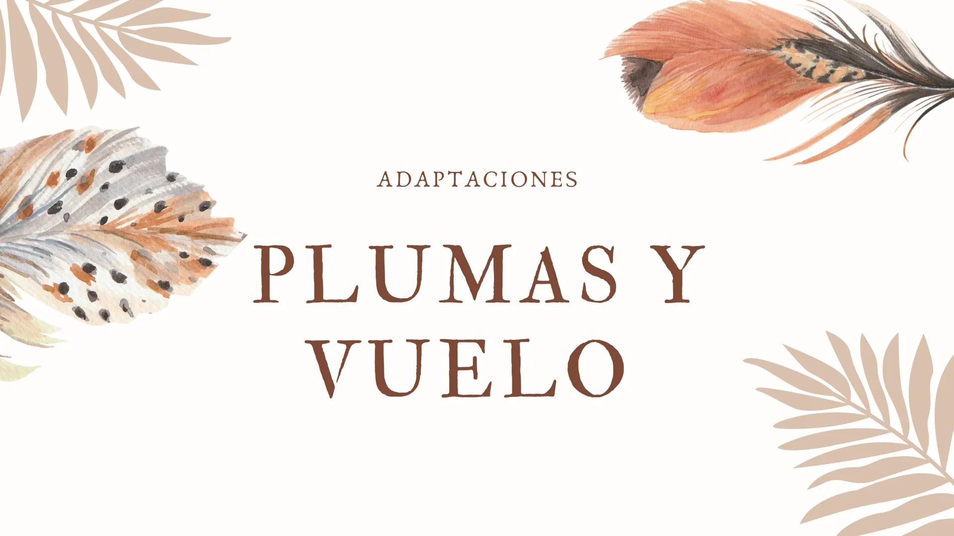 ADAPTACIONES
PLUMAS Y
VUELO LAS AVES
Únicos animales modernos con plumas
¿Las plumas
surgieron con el
vuelo en las aves?
DINOSAURIOS
Tambien