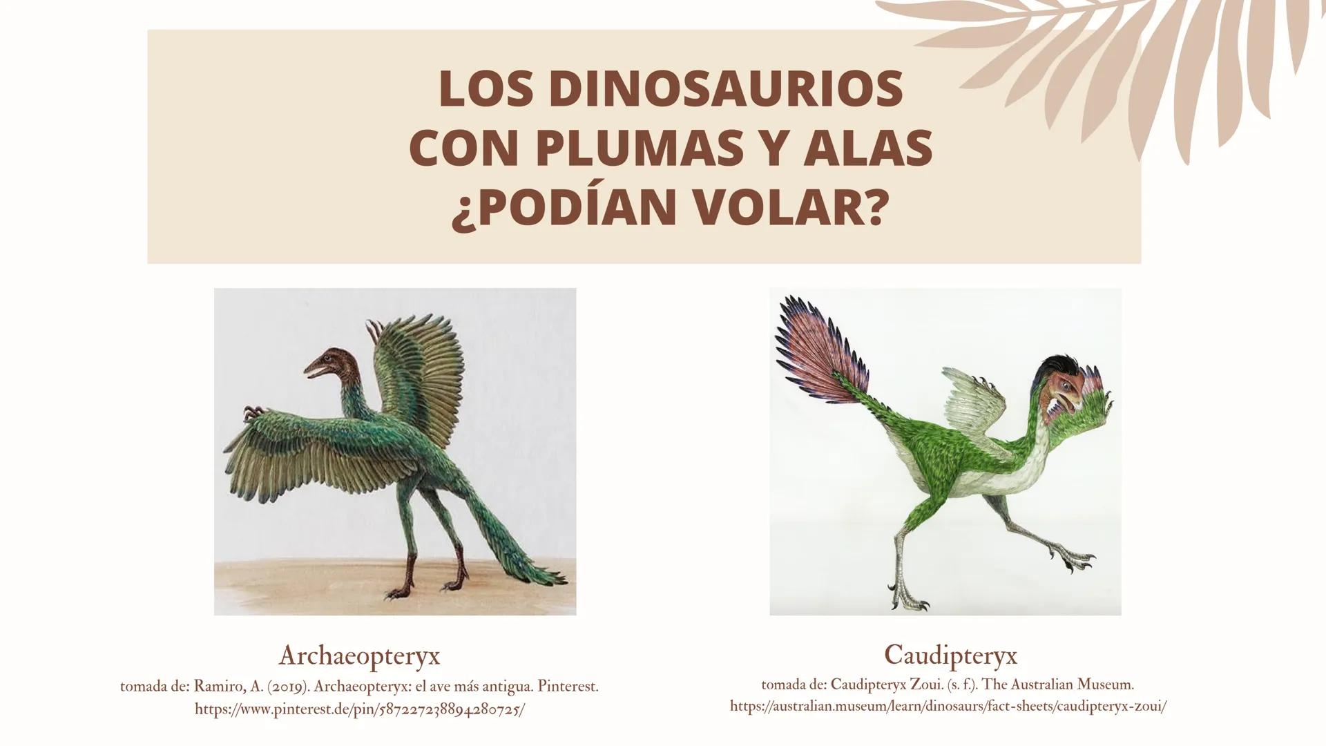 ADAPTACIONES
PLUMAS Y
VUELO LAS AVES
Únicos animales modernos con plumas
¿Las plumas
surgieron con el
vuelo en las aves?
DINOSAURIOS
Tambien