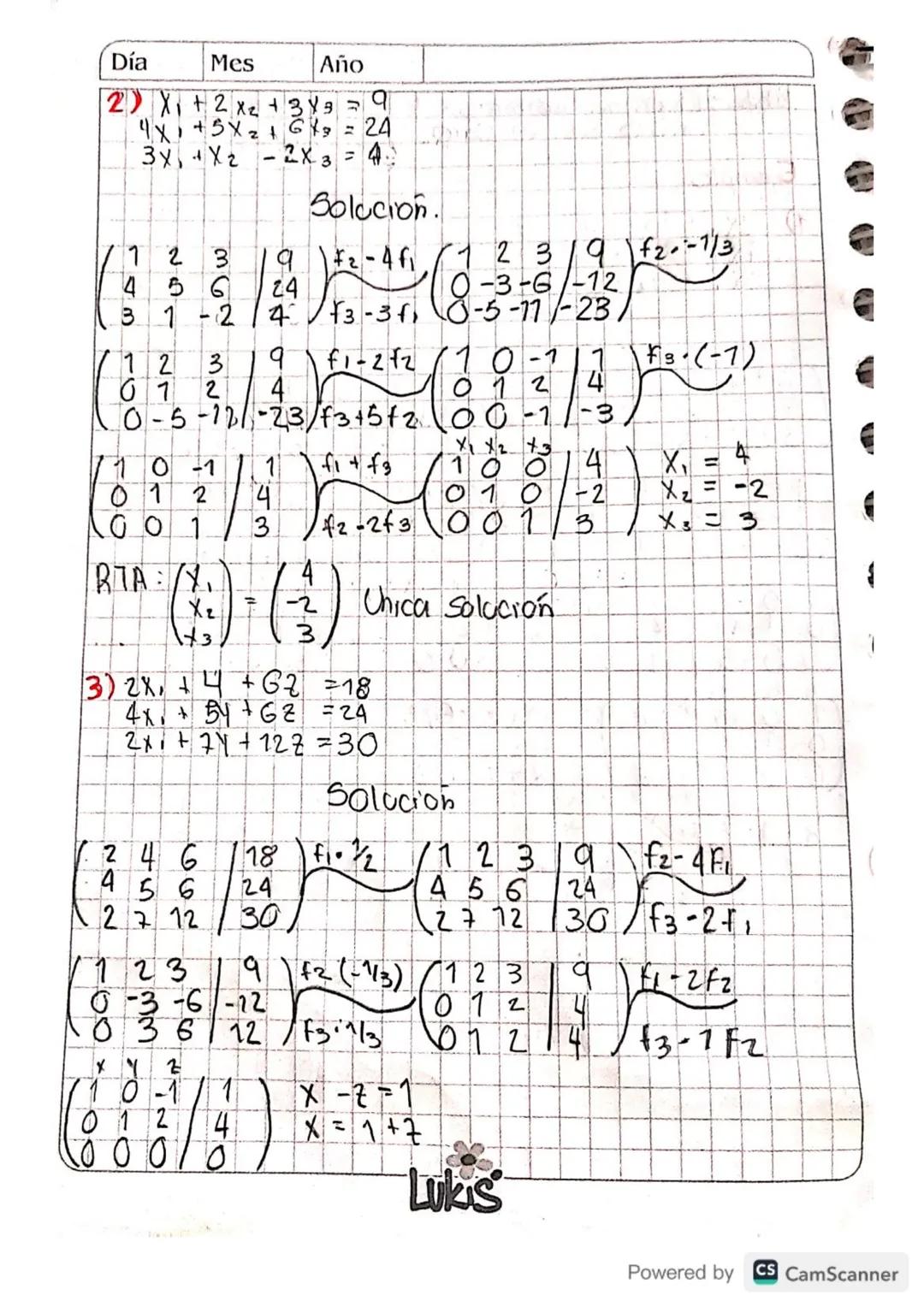 Día
Mes
Año
Sistema de ecuaciones lineales mxn.
No homogeneo.
( sistema de ecuaciones liheaks no homogeneo que
Contiene en ecuaciones con A
